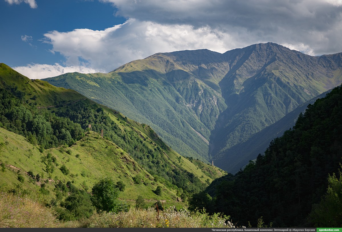 Чечня горы. Чеченская Республика горы высокие. Белгатой Чеченская Республика тайп. Гора Ашенете. Горы леса Чечни.