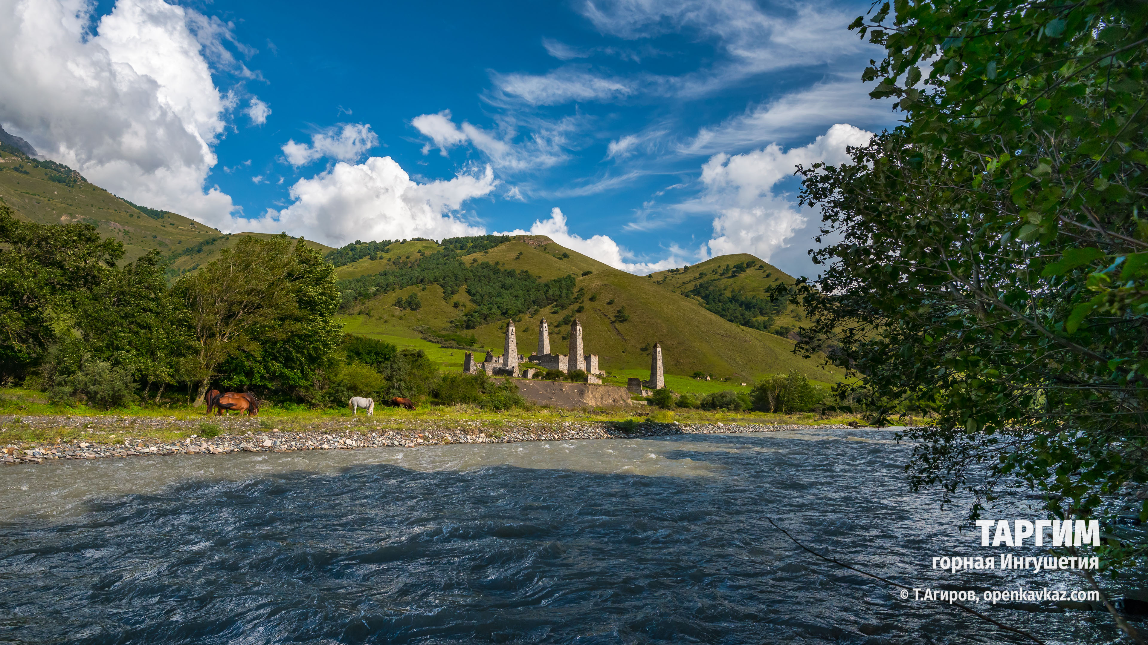 Таргим, Ингушетия