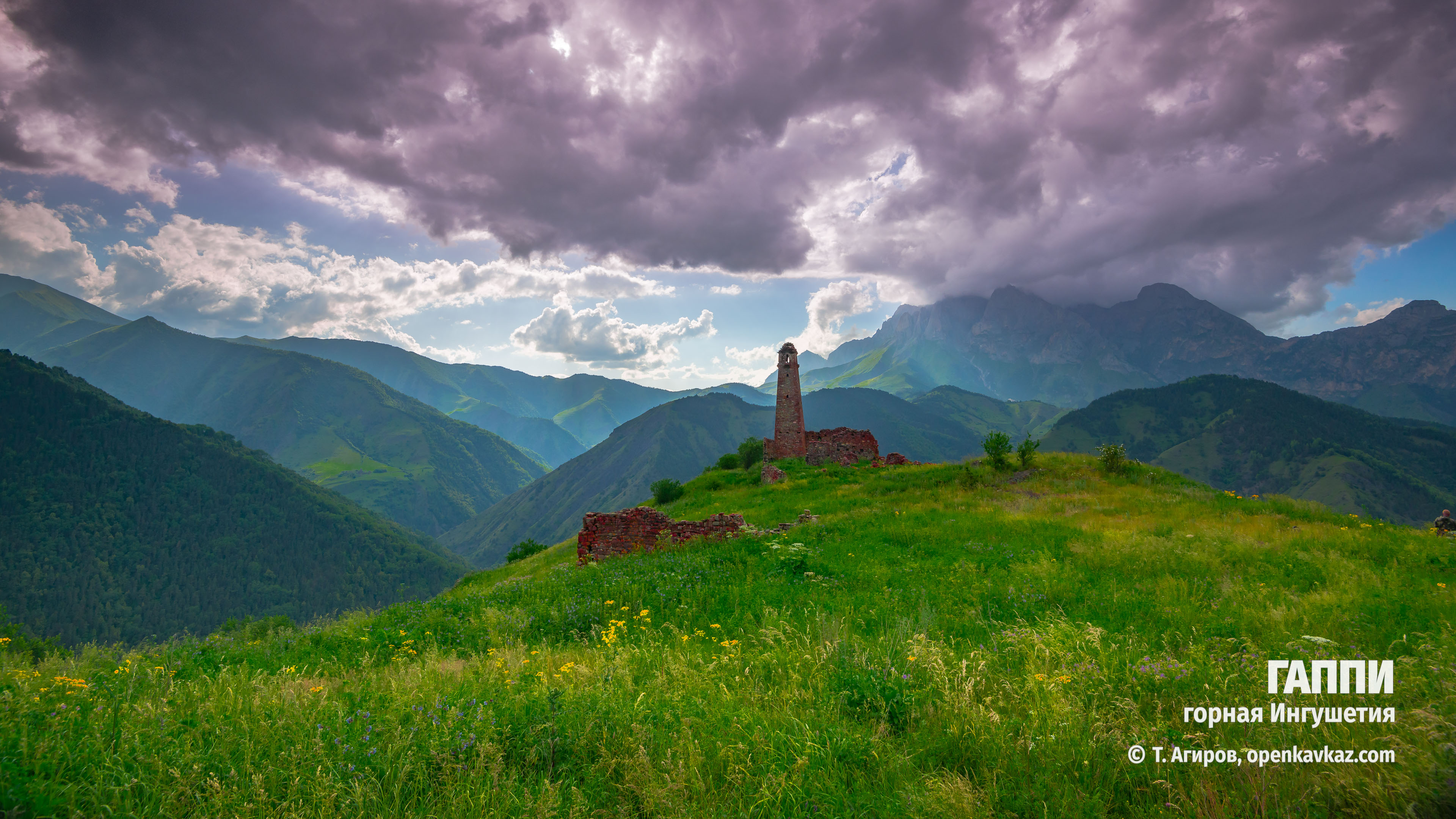 Гаппи, Ингушетия