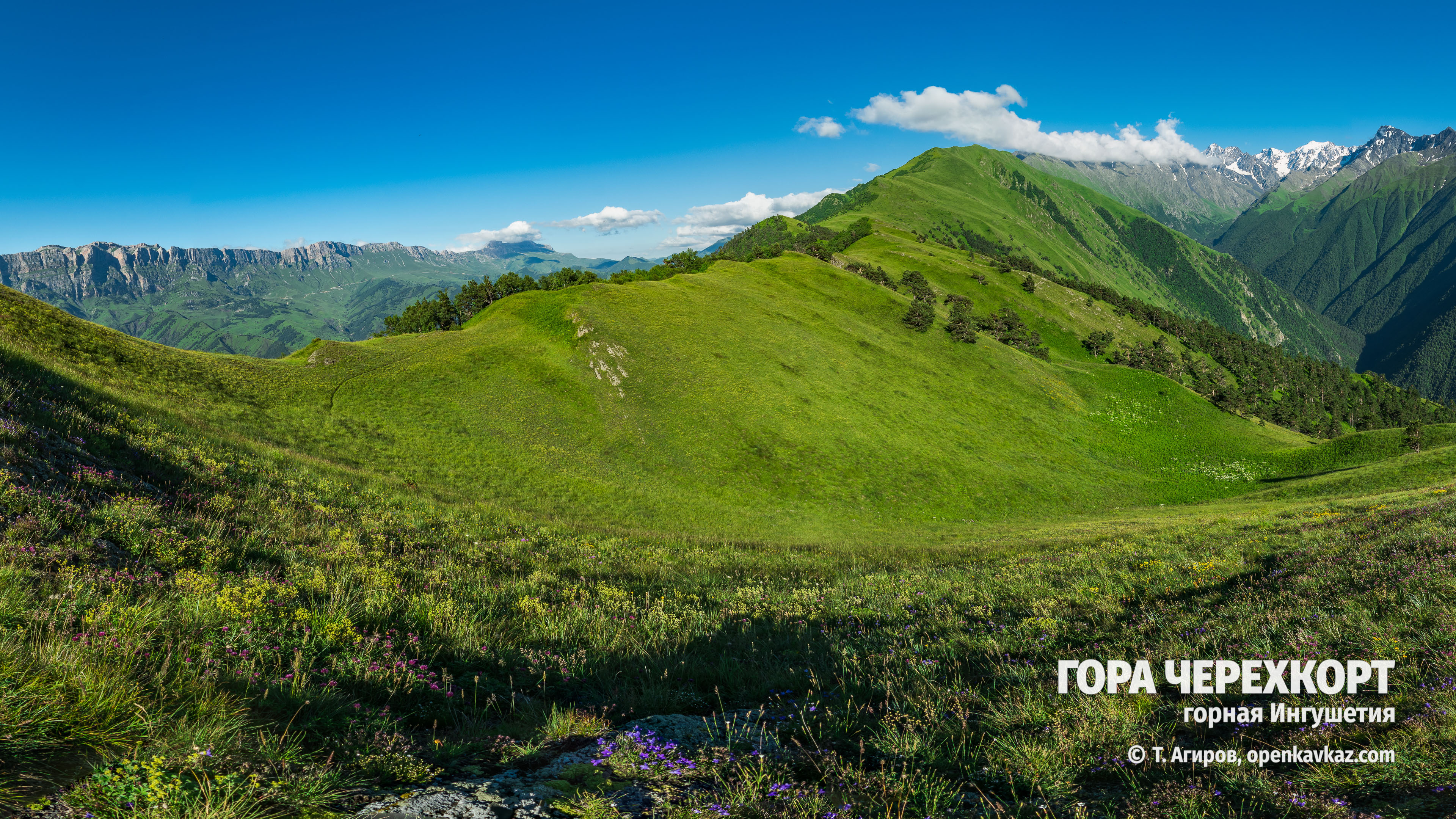 Черехкорт, Ингушетия