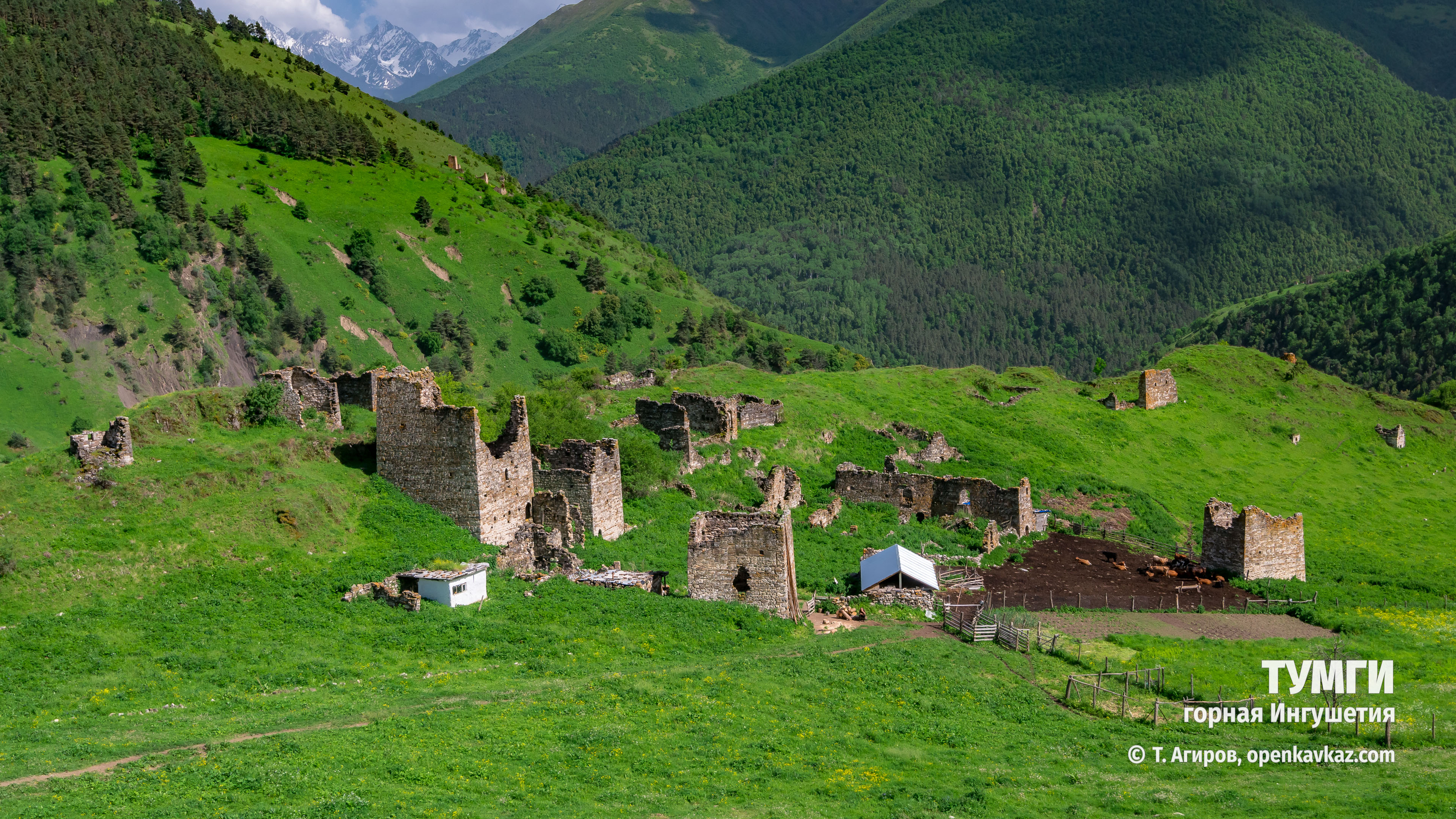 Башни Ингушетия Джейрахский район
