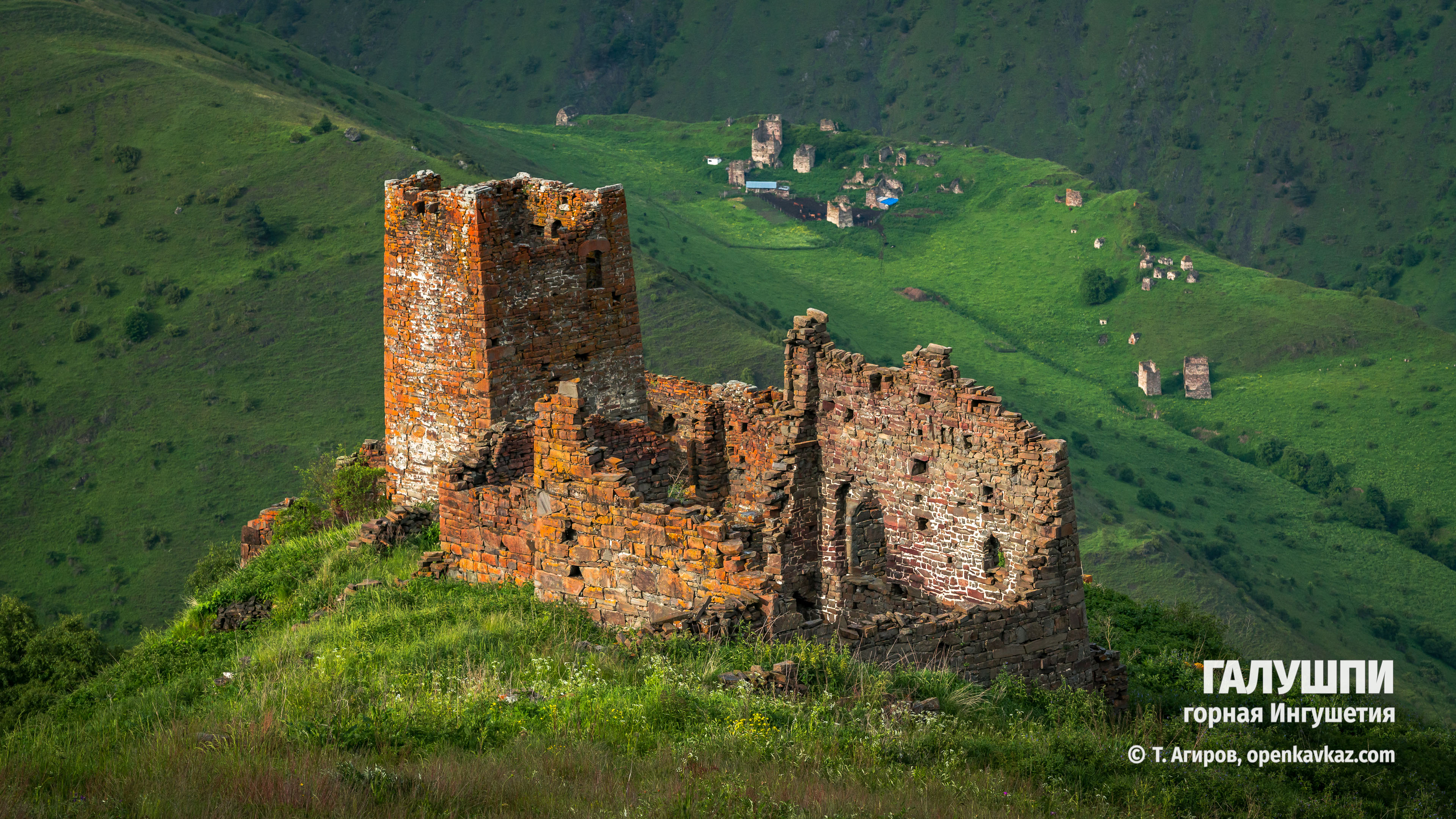 Галушпи, Ингушетия