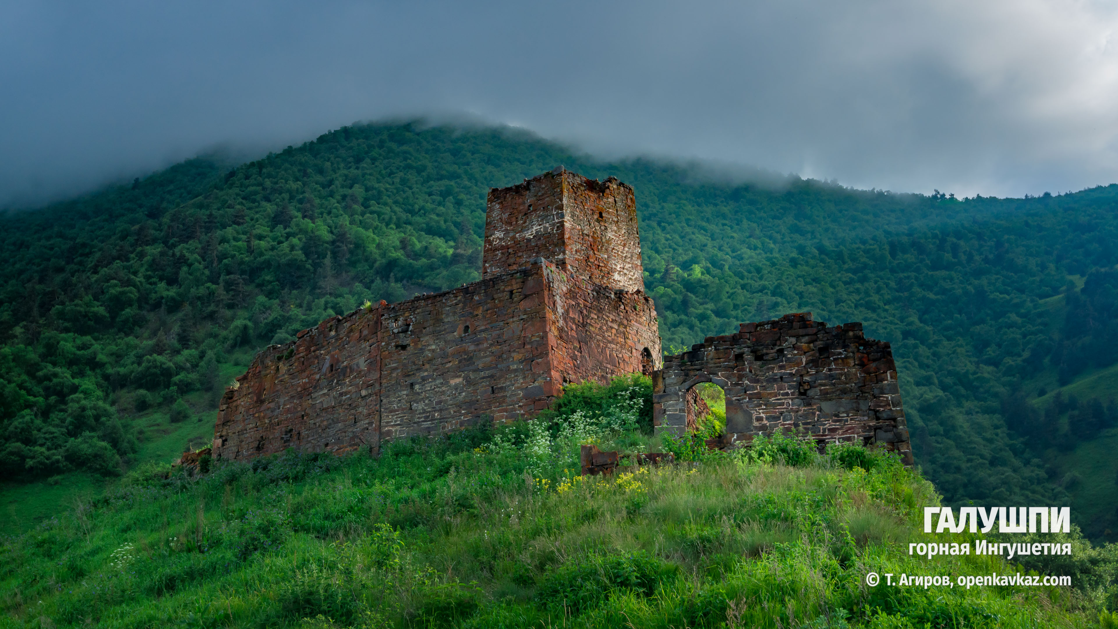 Галушпи, Ингушетия