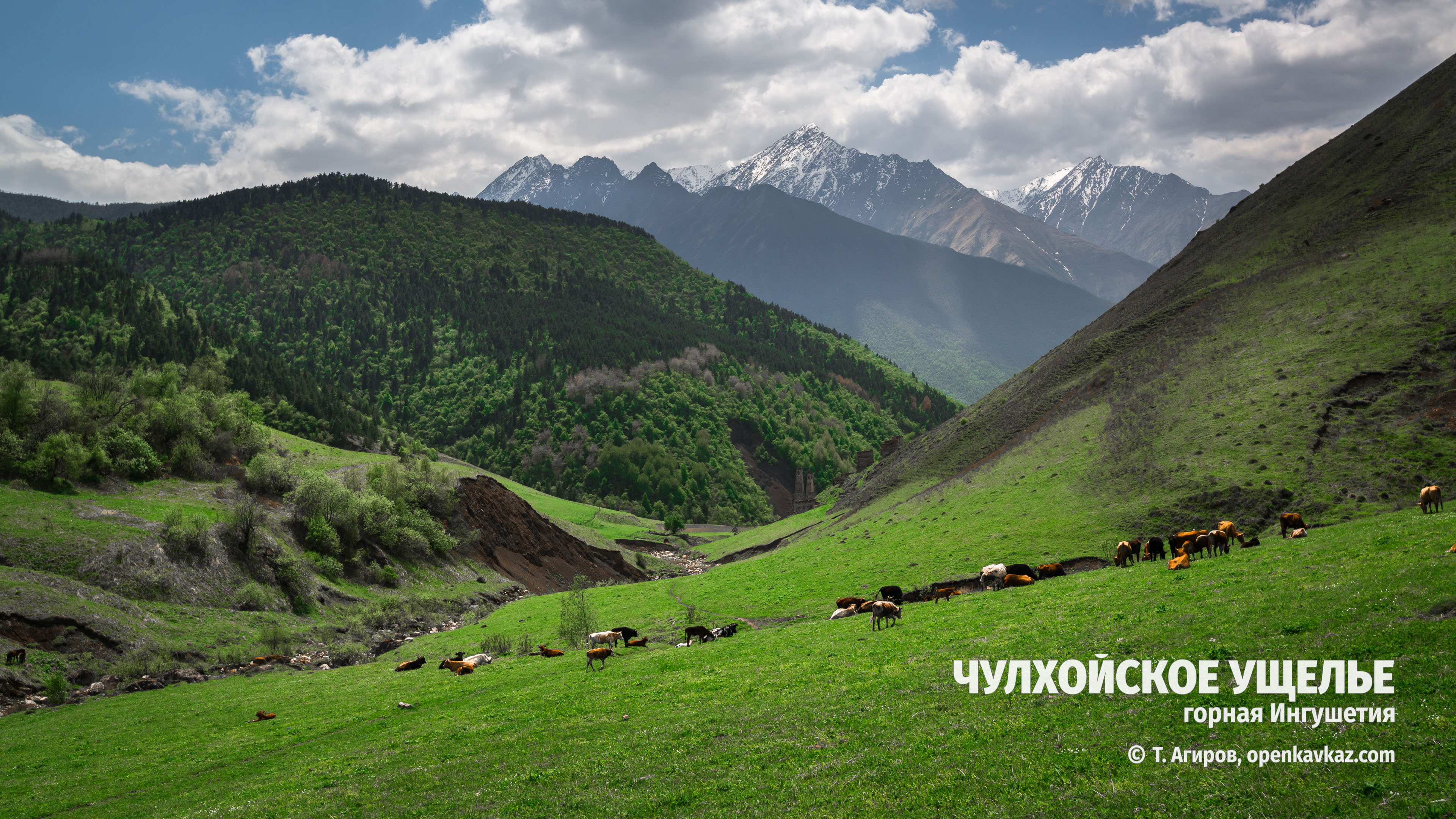 Чулхойское ущелье и его окрестности, Ингушетия