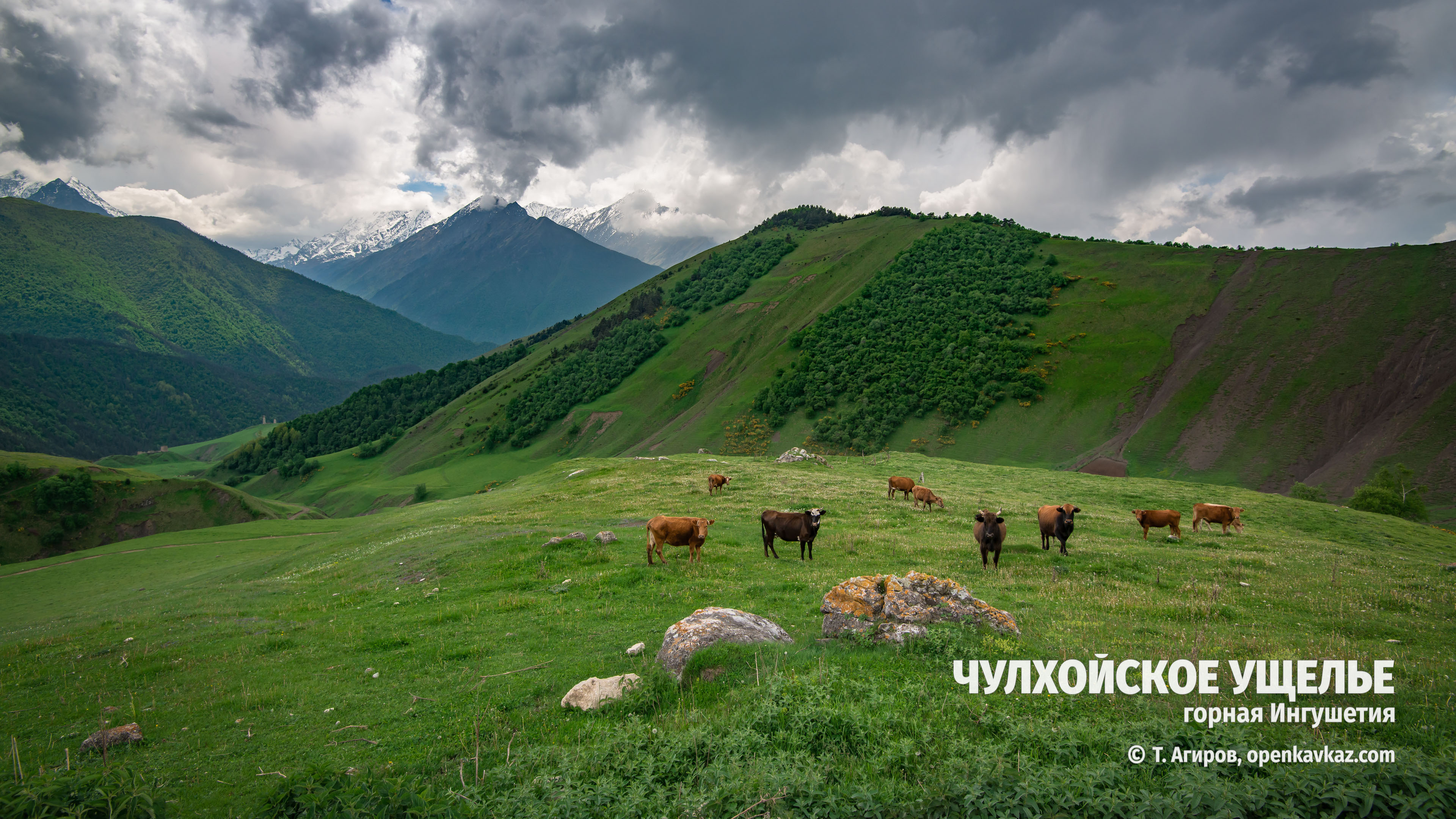 Чулхойское ущелье и его окрестности, Ингушетия