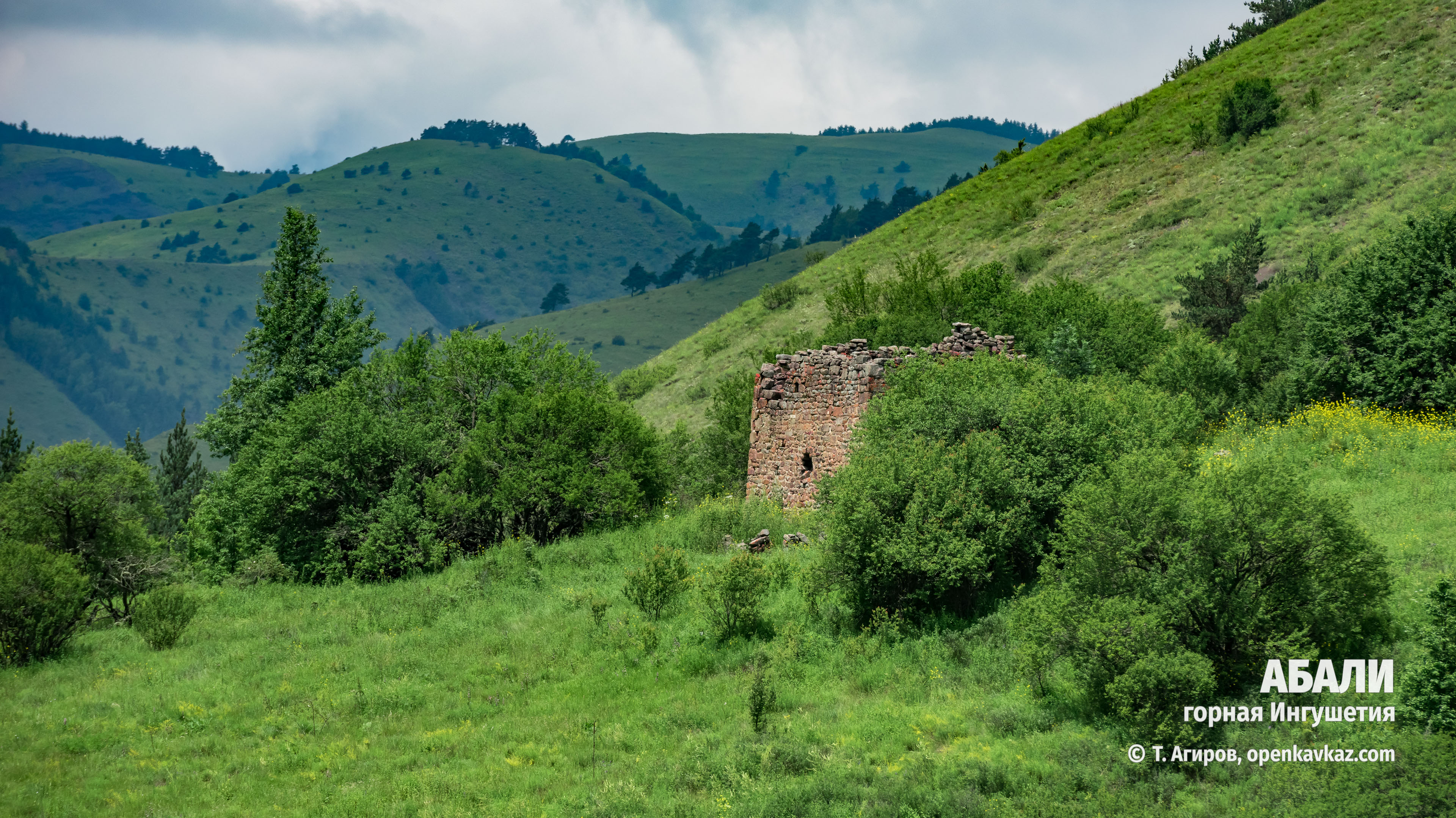 Абали, Ингушетия