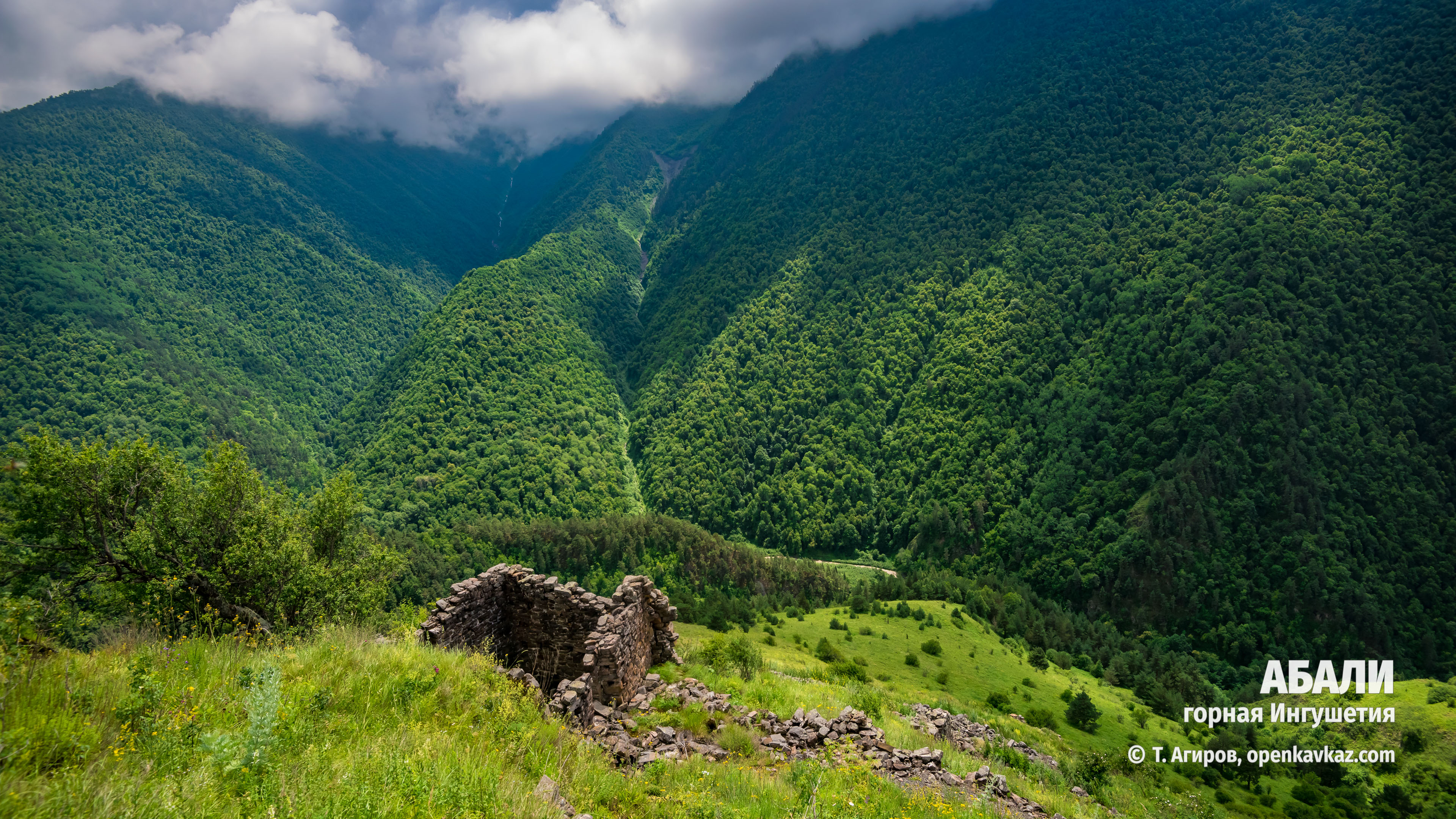 Абали, Ингушетия