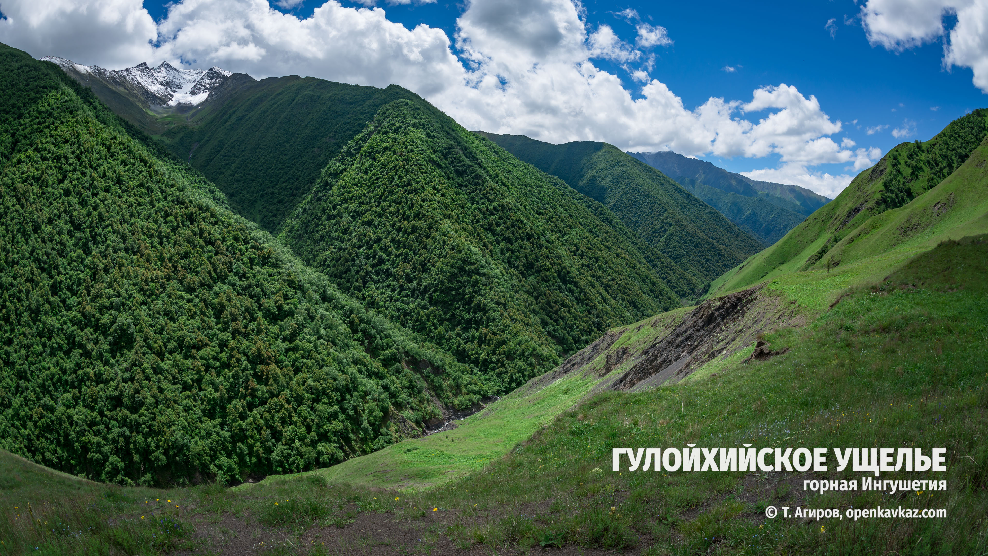 Гулойхийское ущелье, Ингушетия