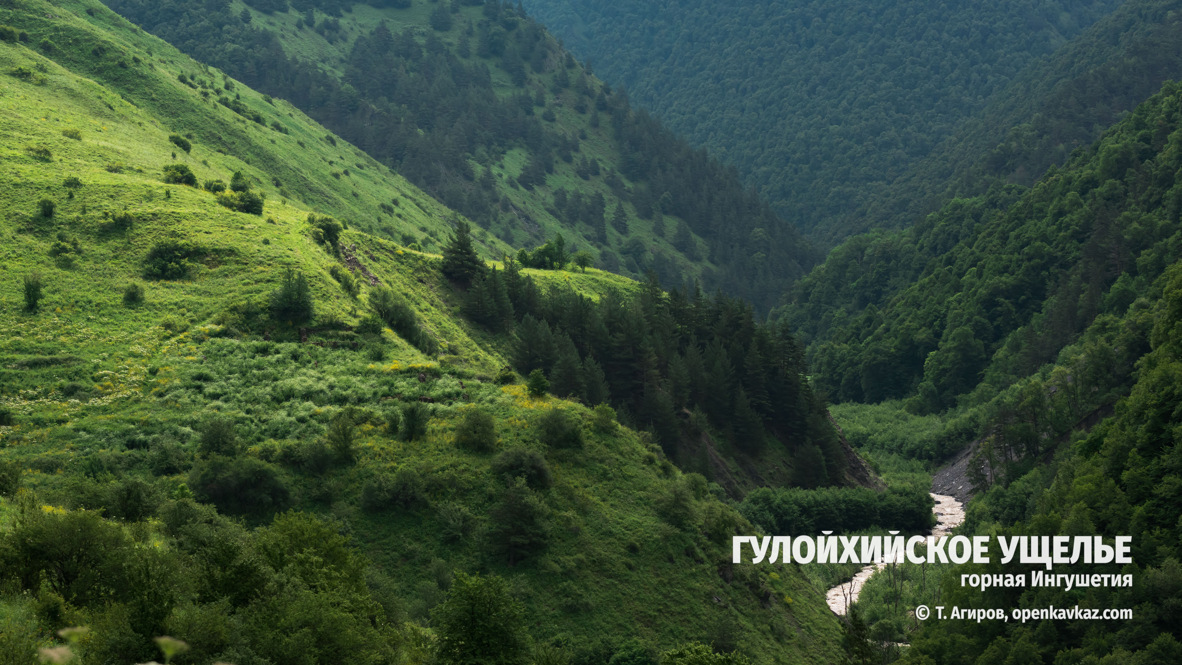 Гулойхийское ущелье, Ингушетия