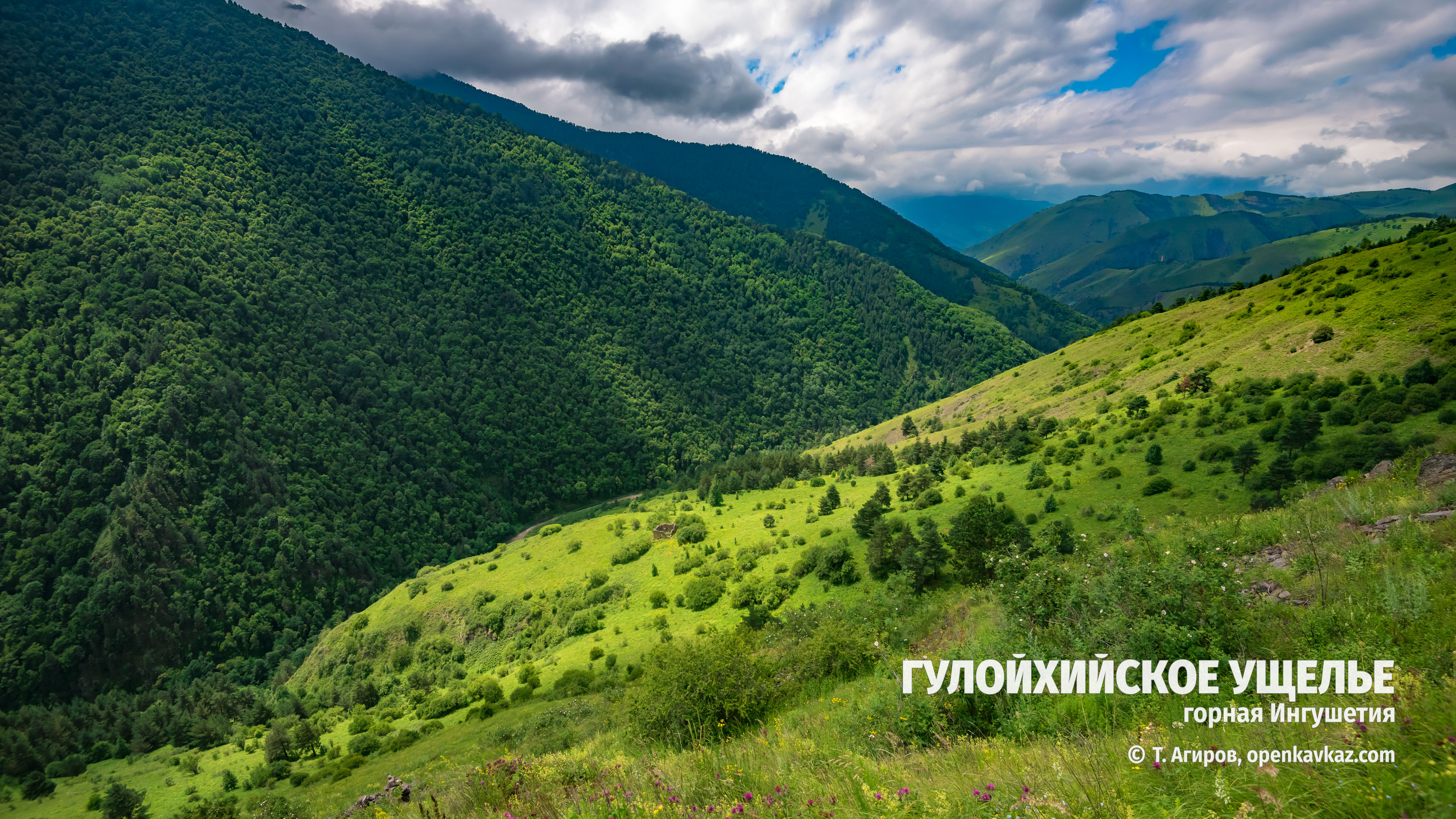 Гулойхийское ущелье, Ингушетия