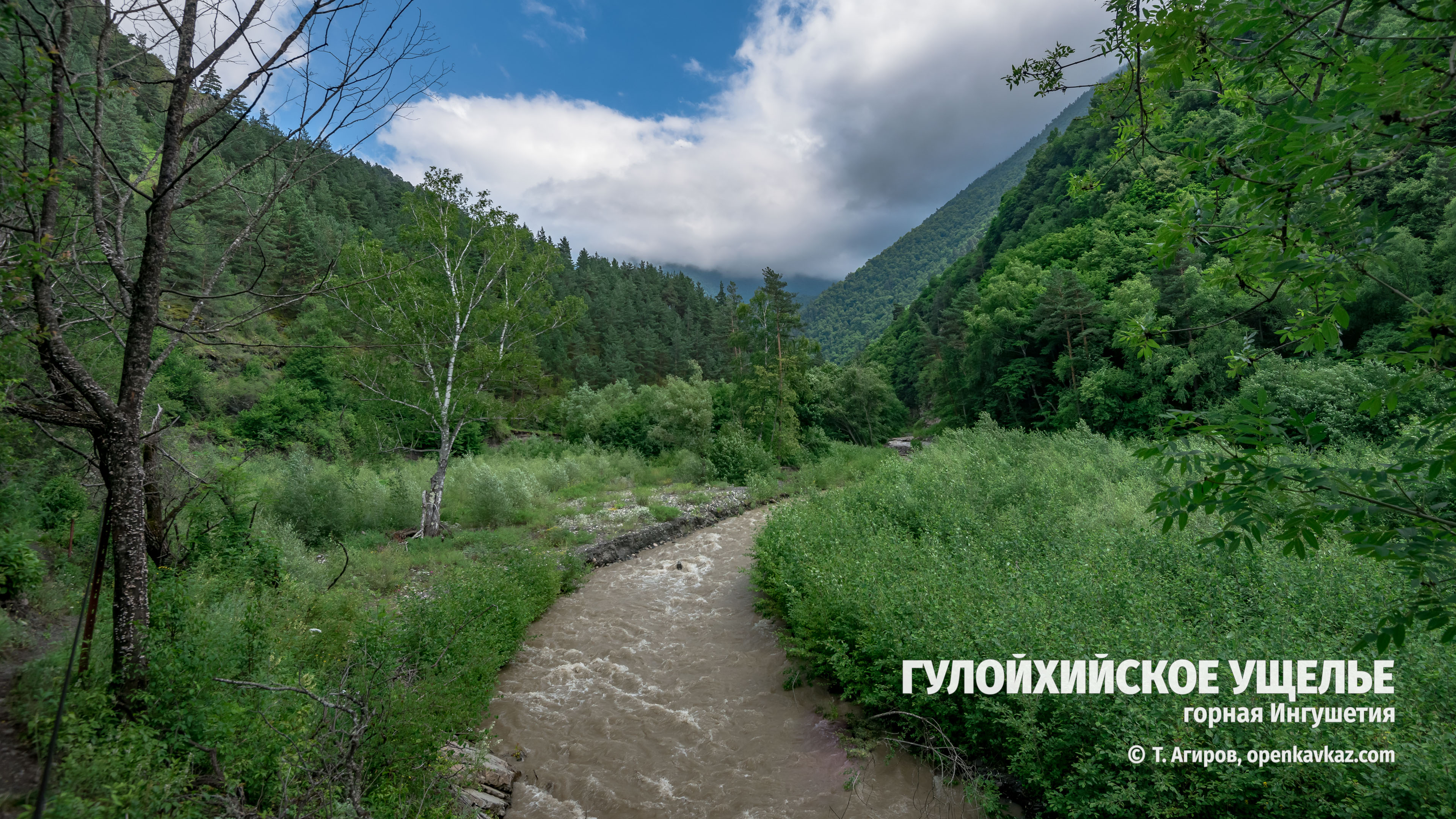 Ущелье реки Асса Ингушетия