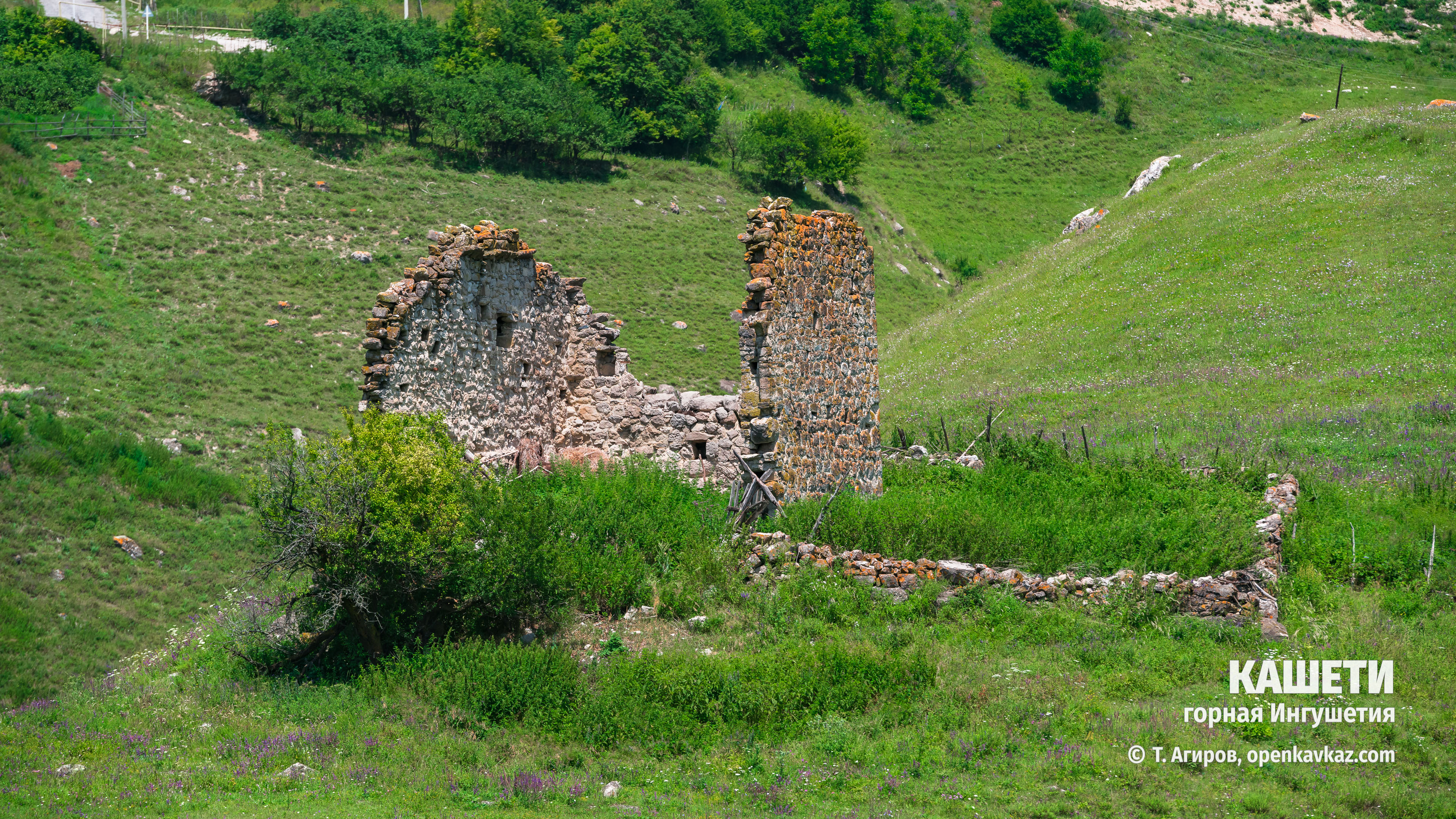 Кашети, Ингушетия