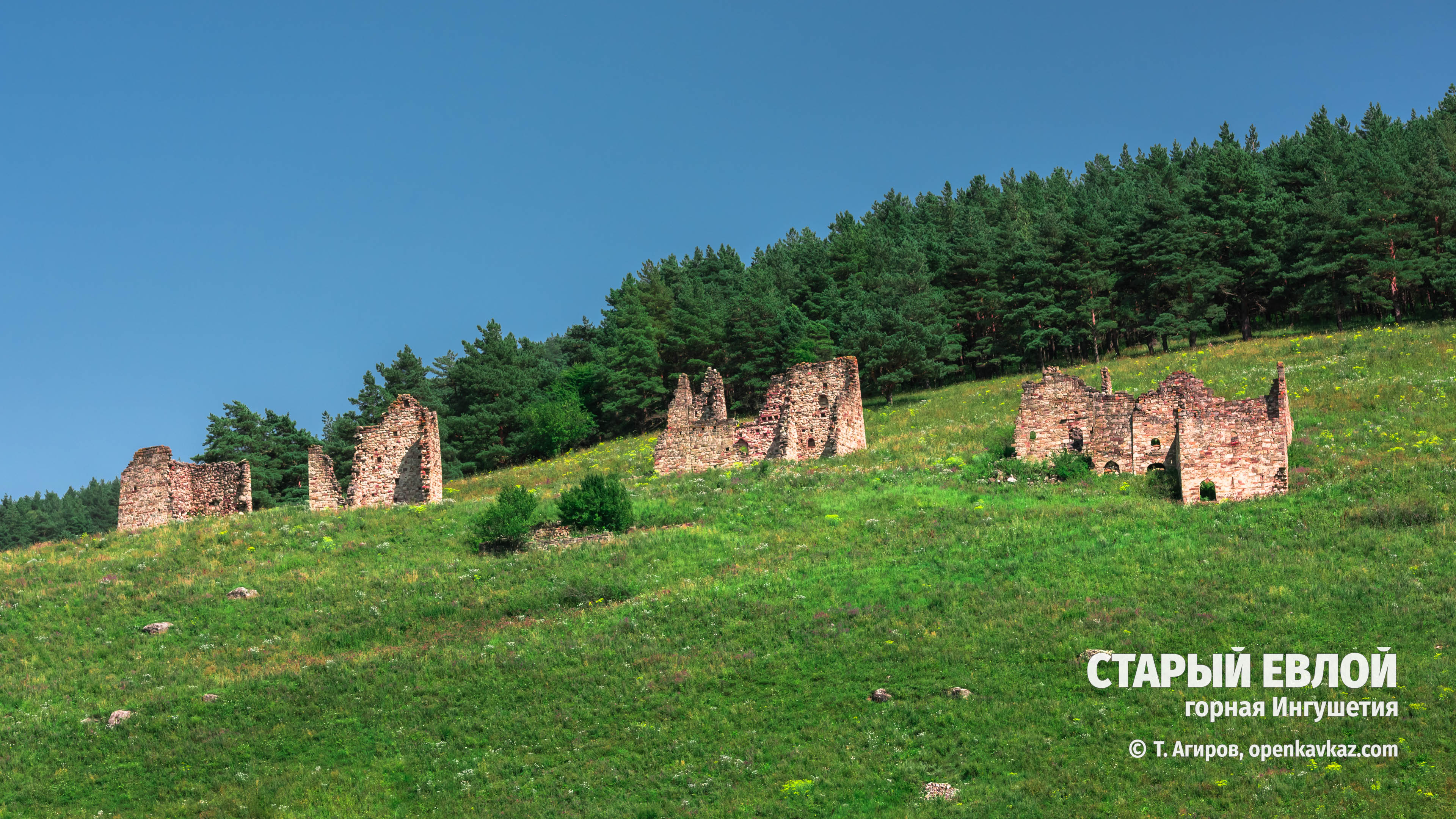 Старый Евлой, Ингушетия