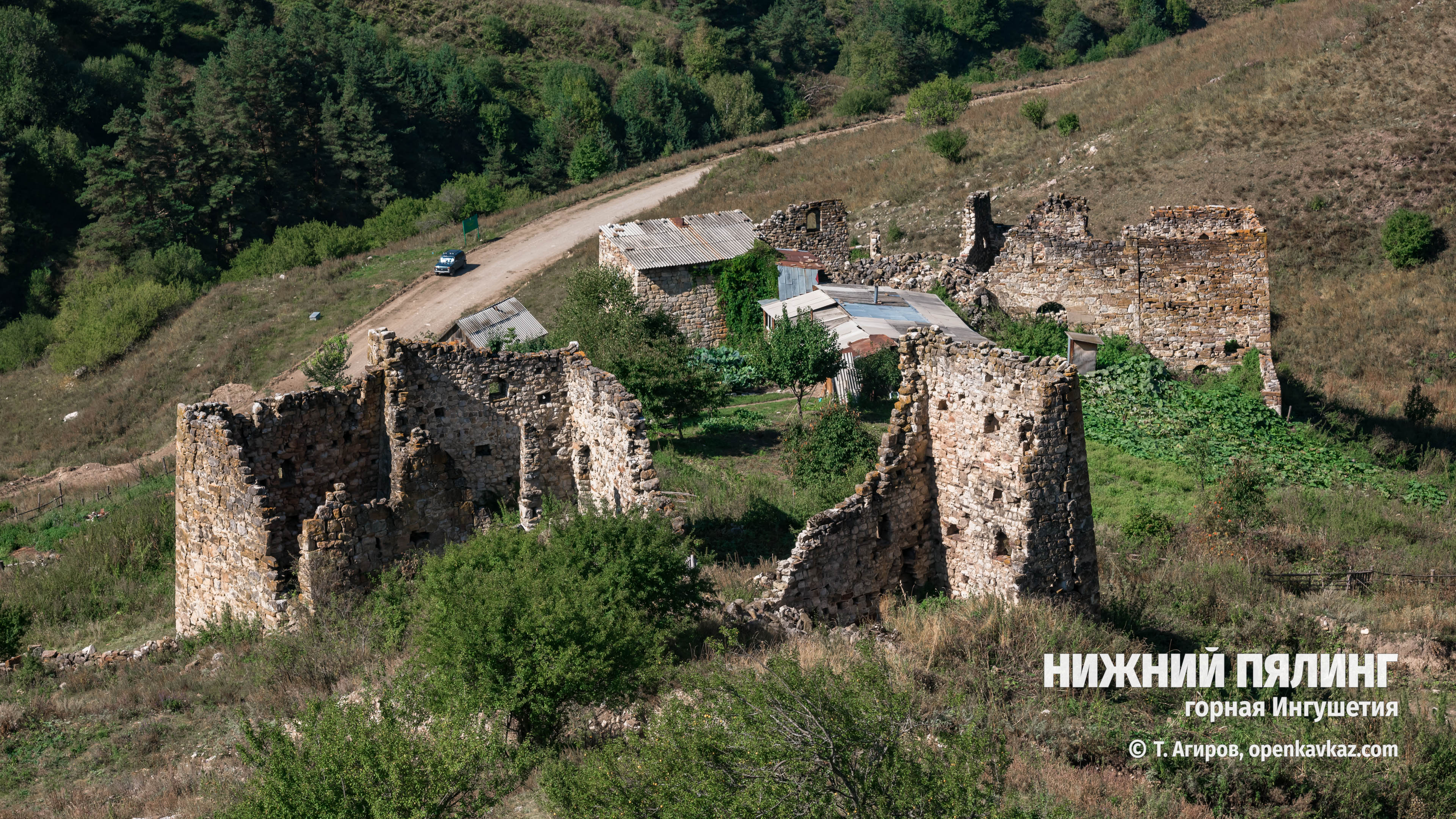 Пялинг башни какому роду принадлежит