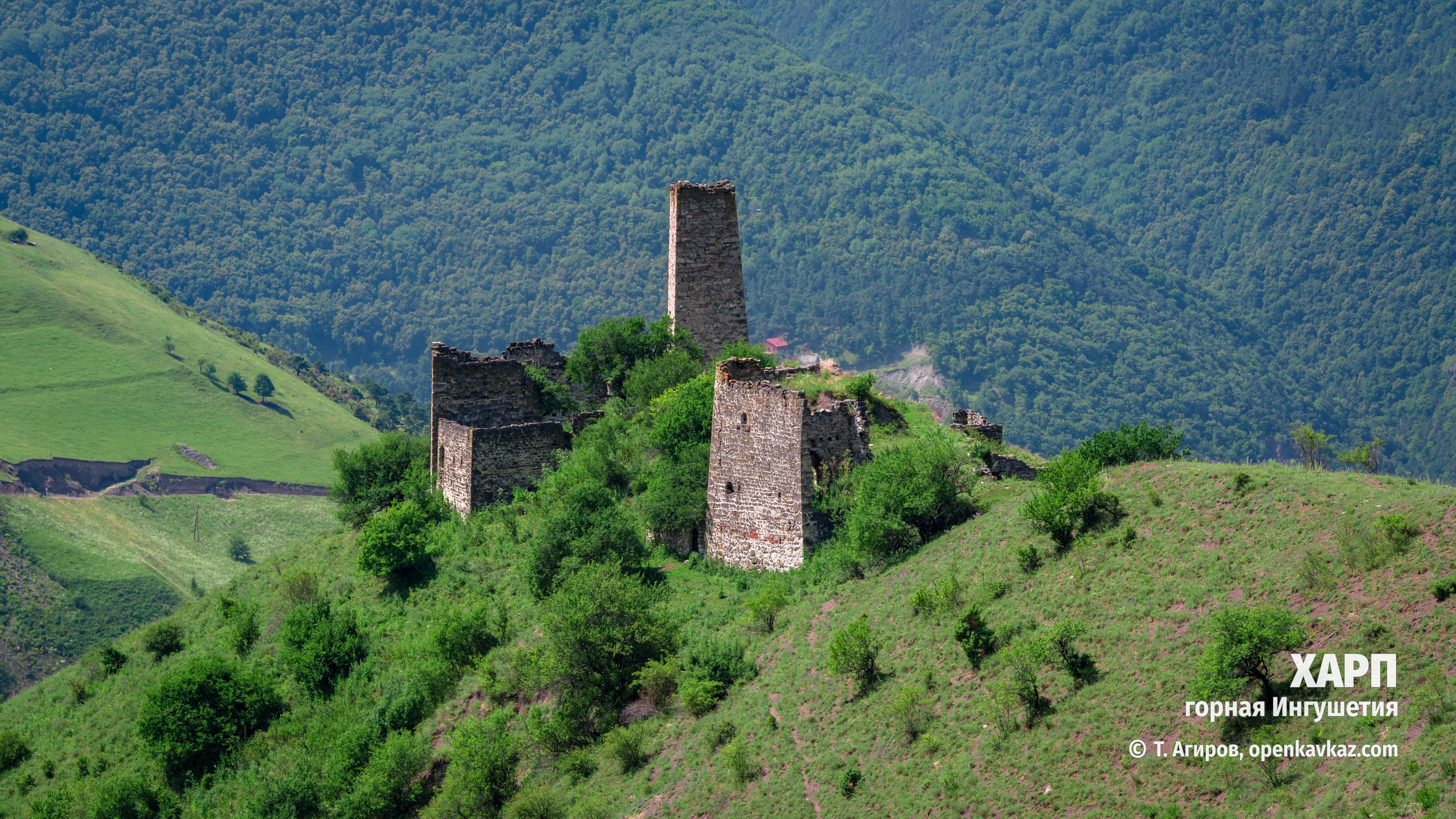 Харп, Ингушетия