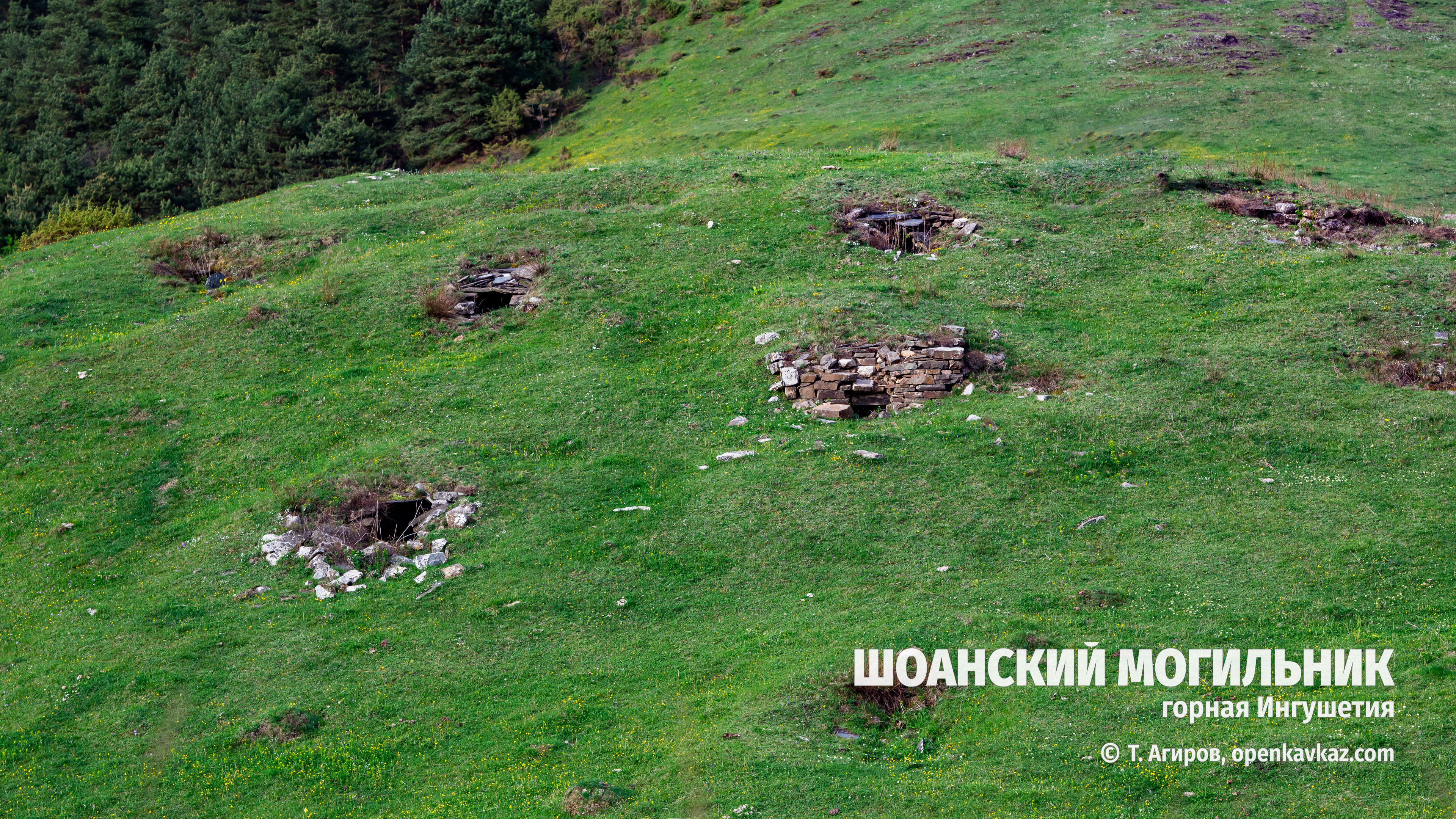 Шоанский могильник, Ингушетия