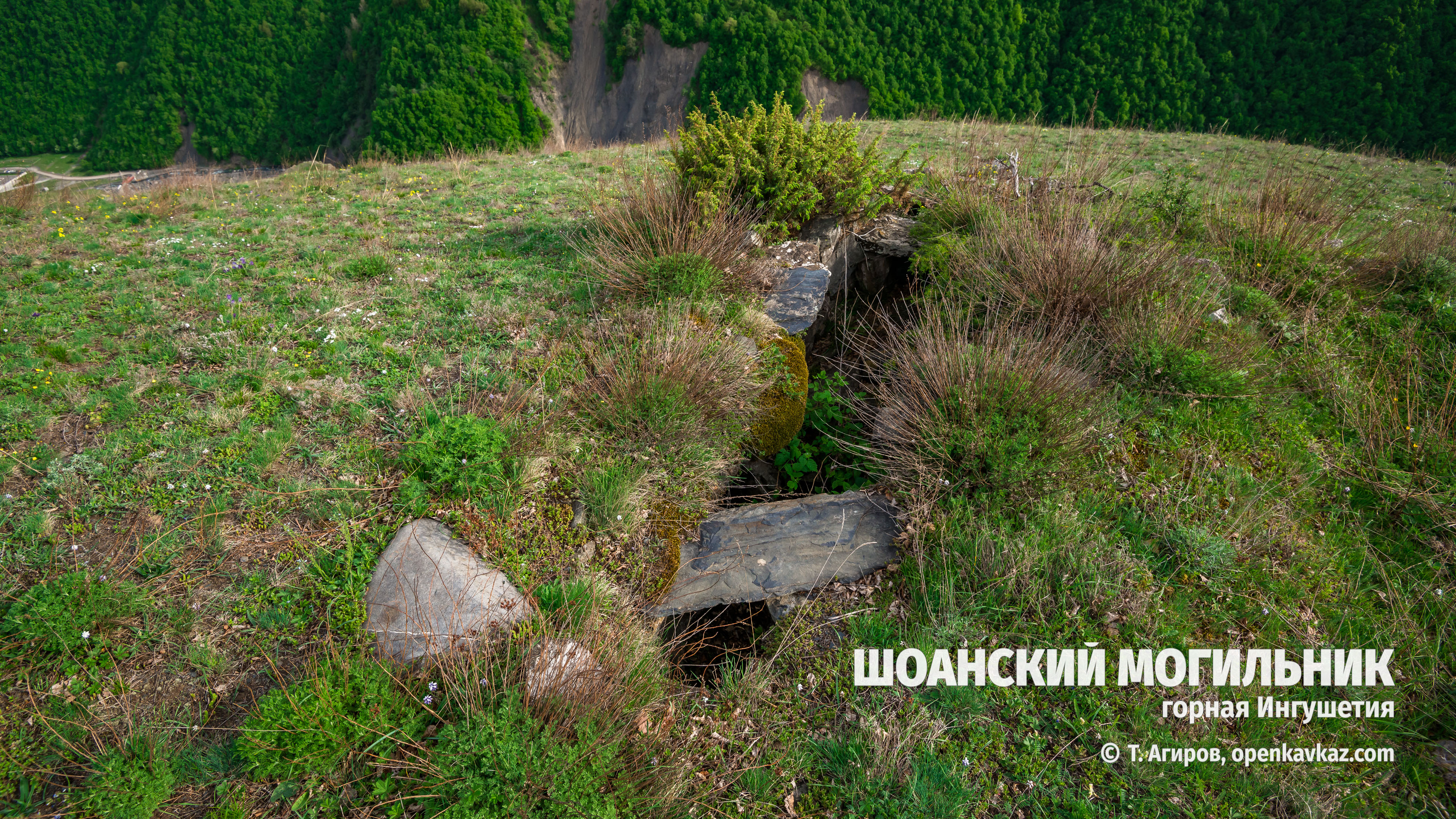 Шоанский могильник, Ингушетия