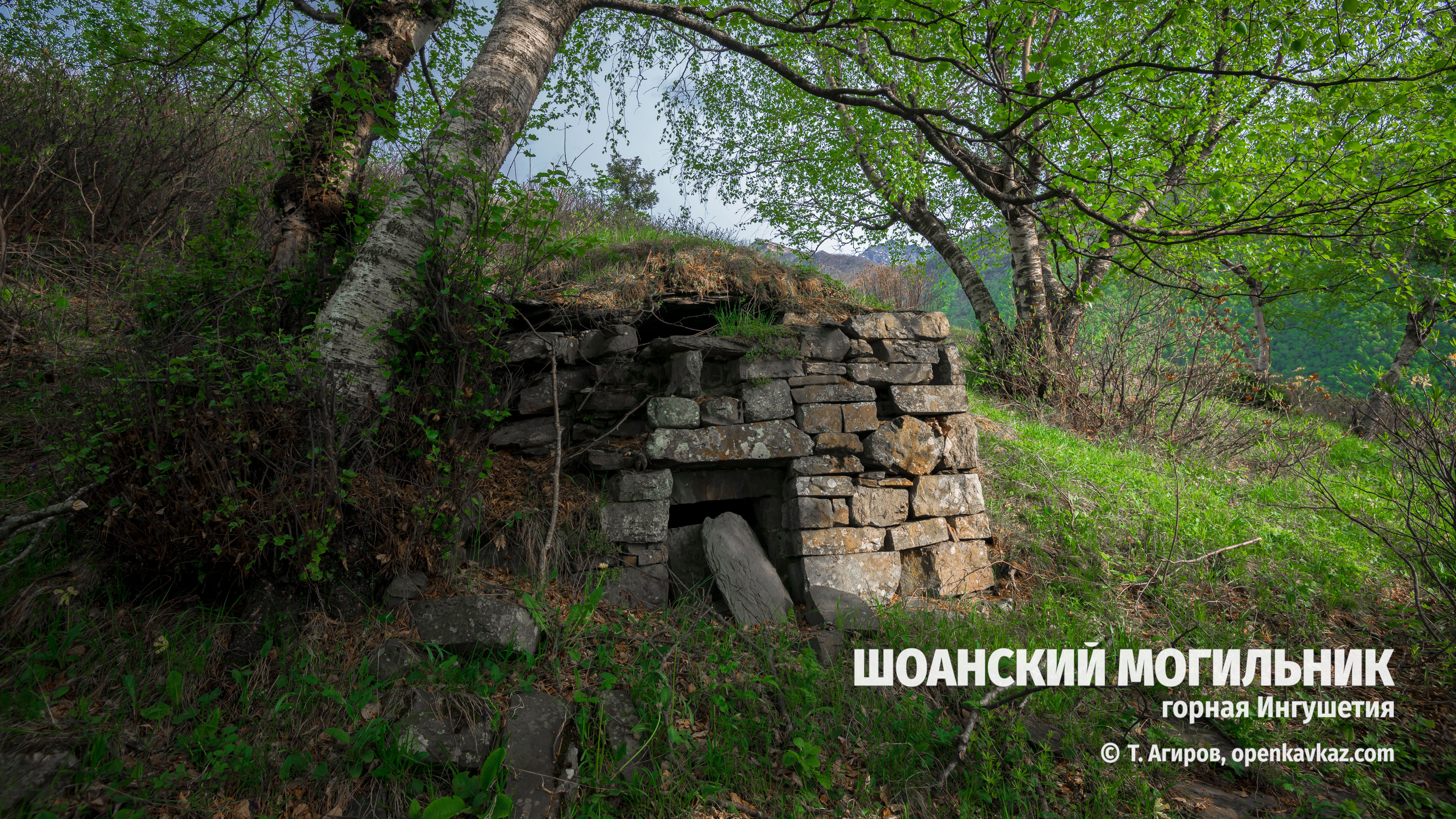 Шоанский могильник, Ингушетия