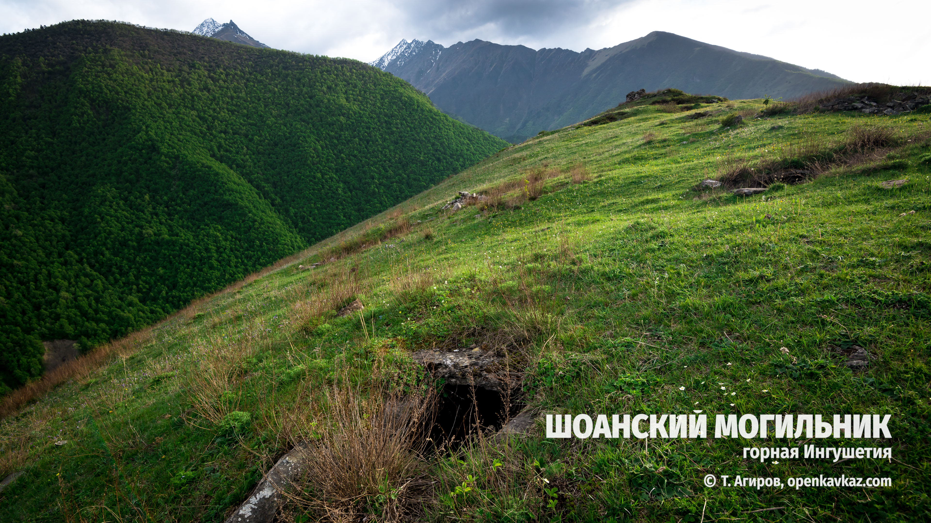 Шоанский могильник, Ингушетия