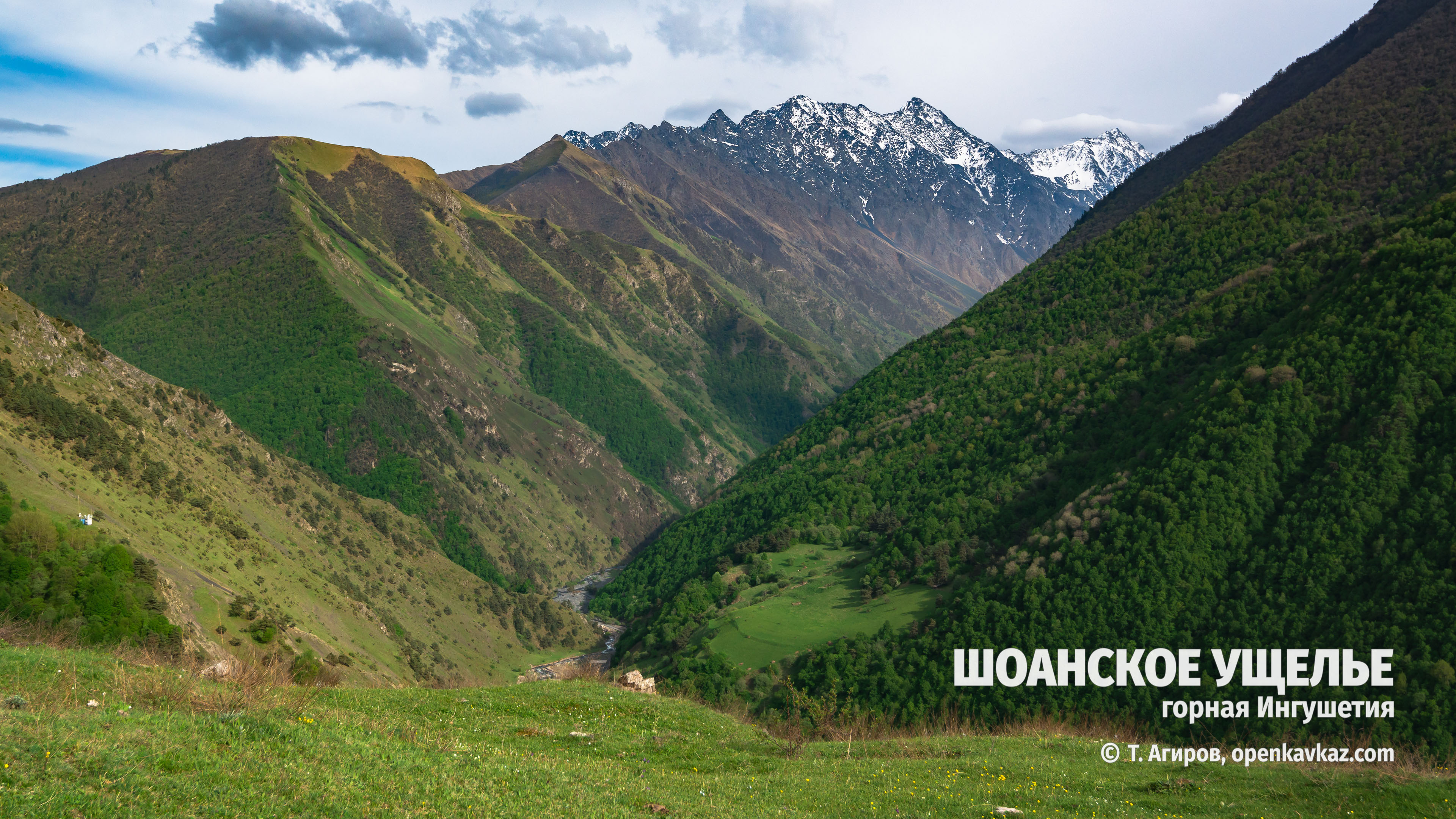 Шоанское ущелье, Ингушетия