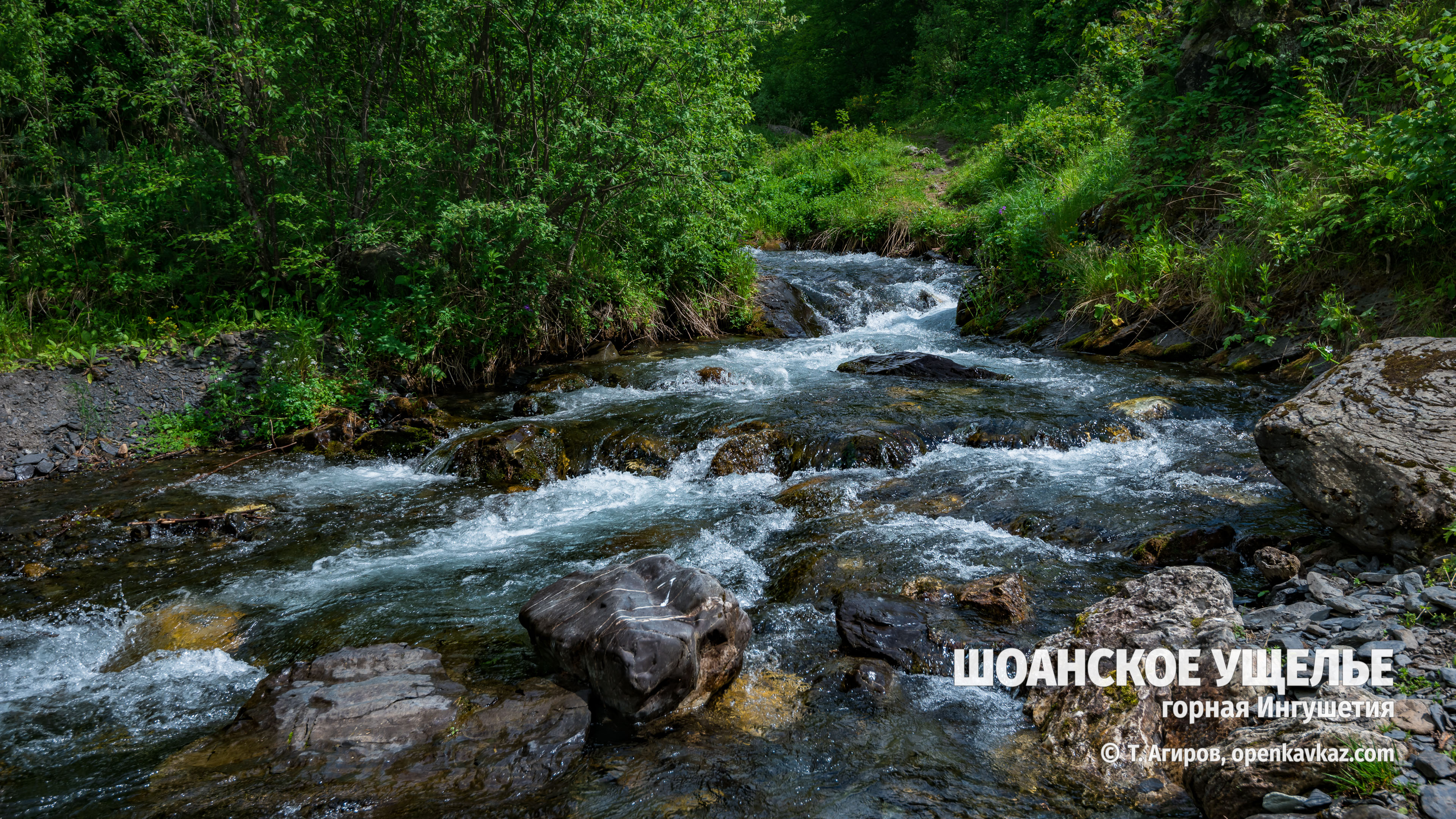 Шоанское ущелье, Ингушетия