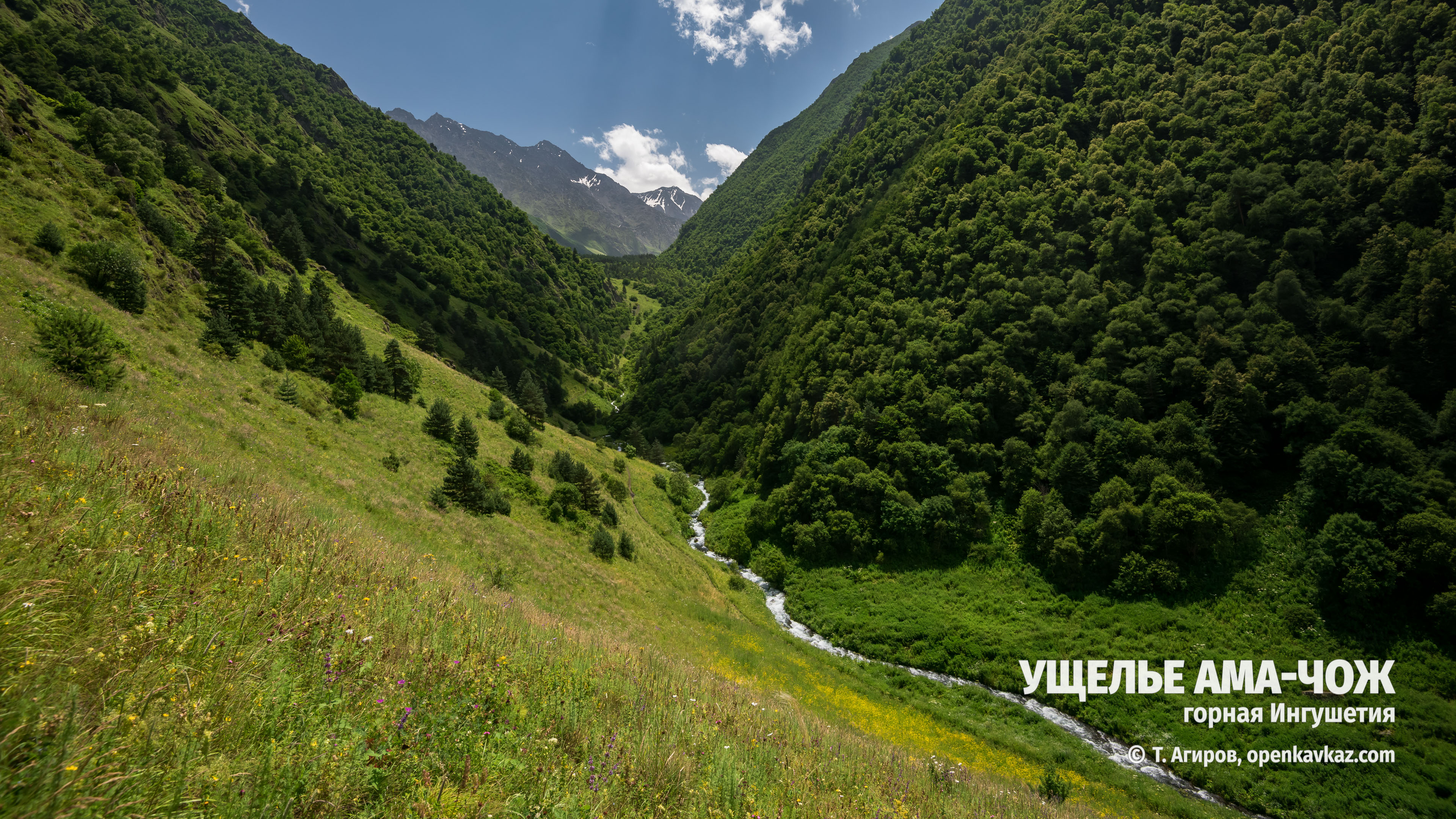 Ущелье Ама-чож, Ингушетия