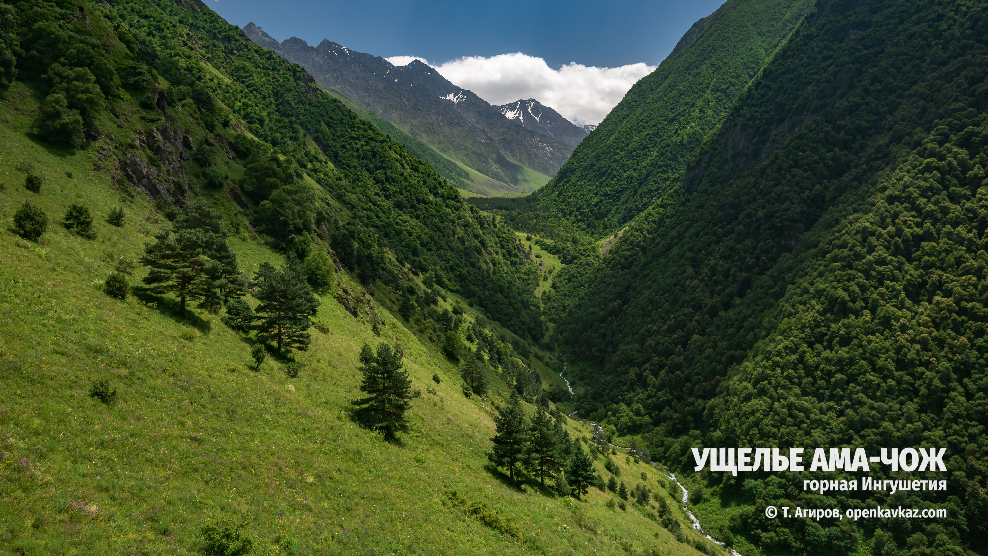 Ущелье Ама-чож, Ингушетия