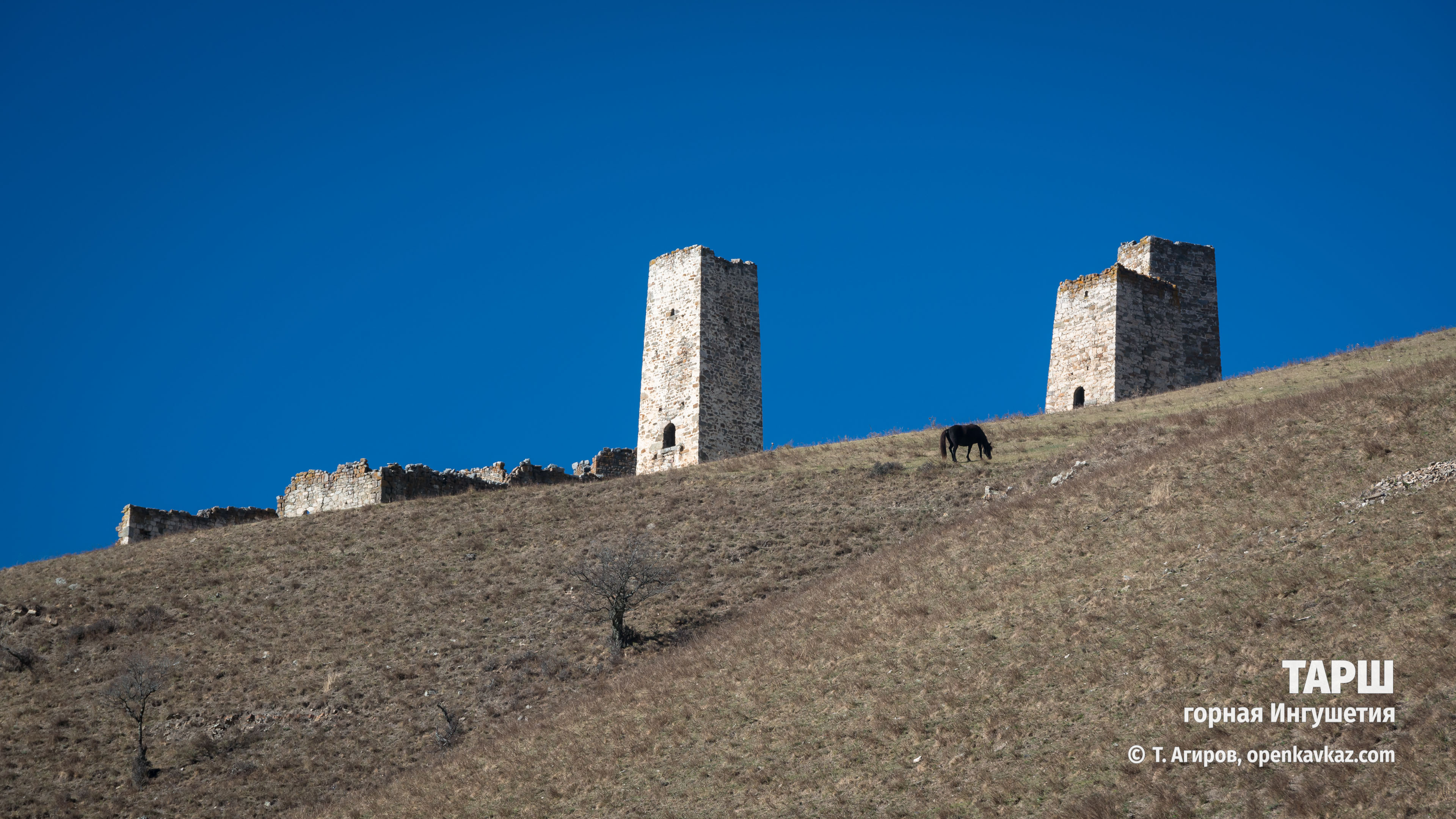 Тарш, Ингушетия