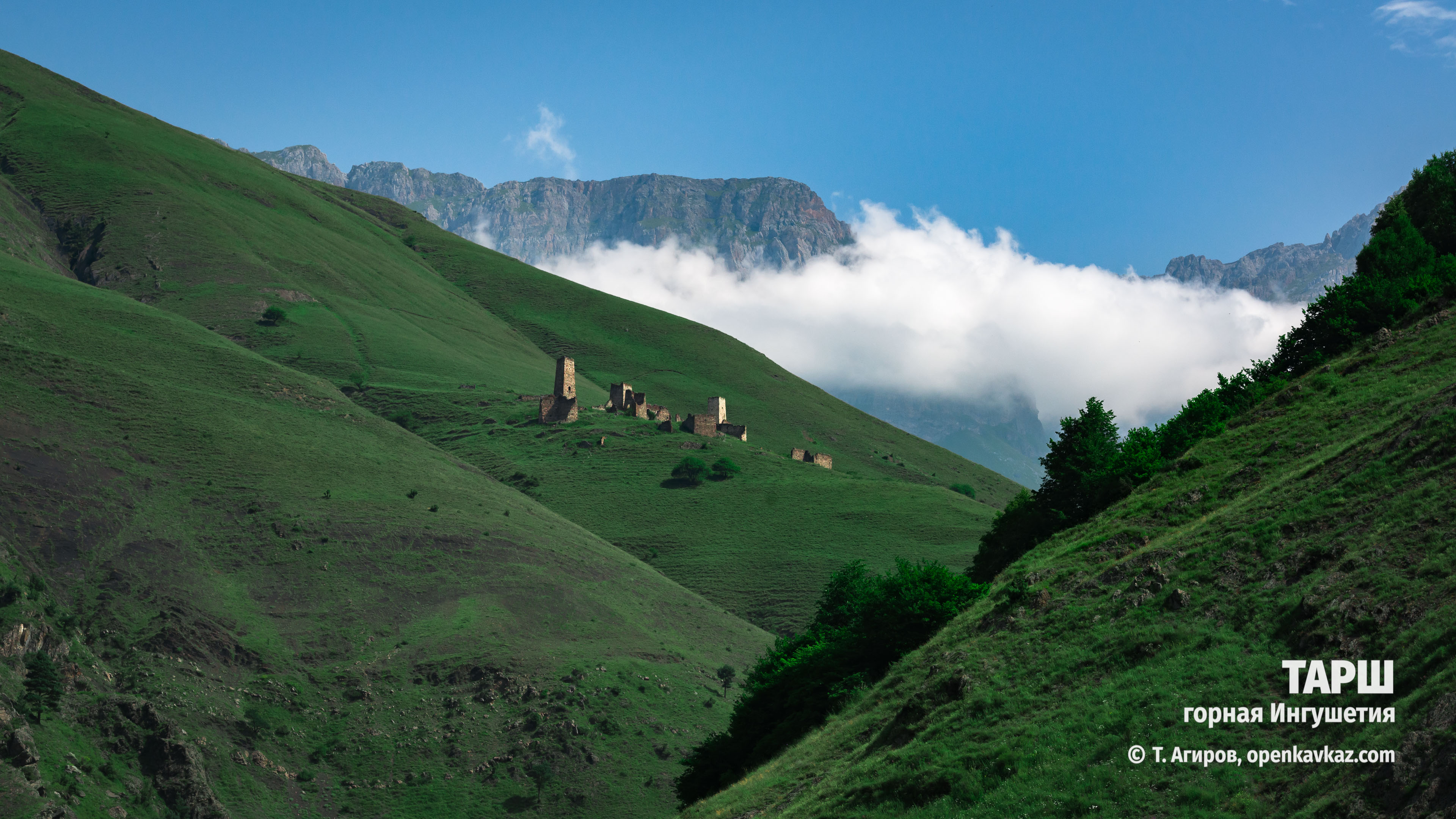 Тарш, Ингушетия