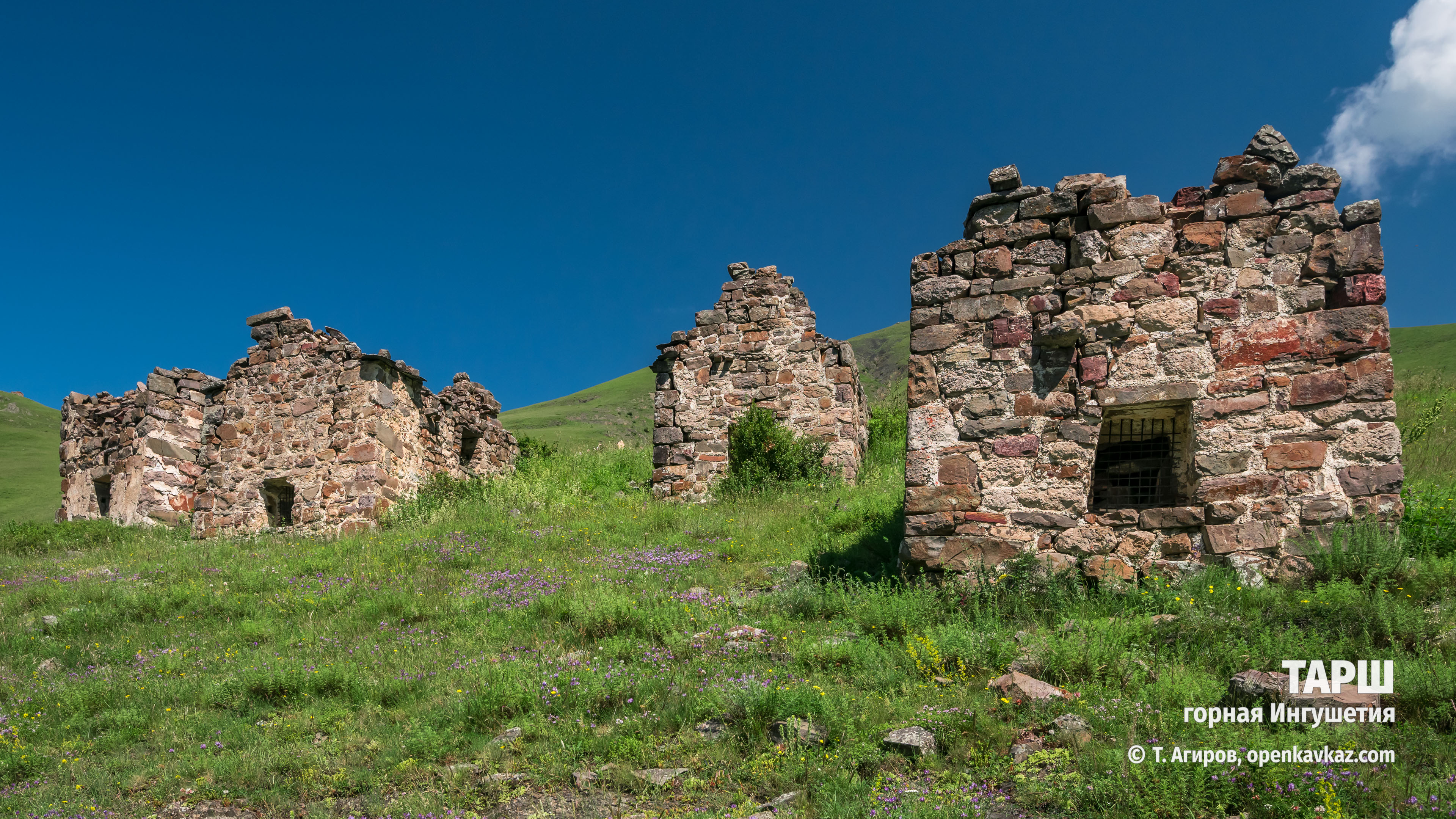 Тарш, Ингушетия