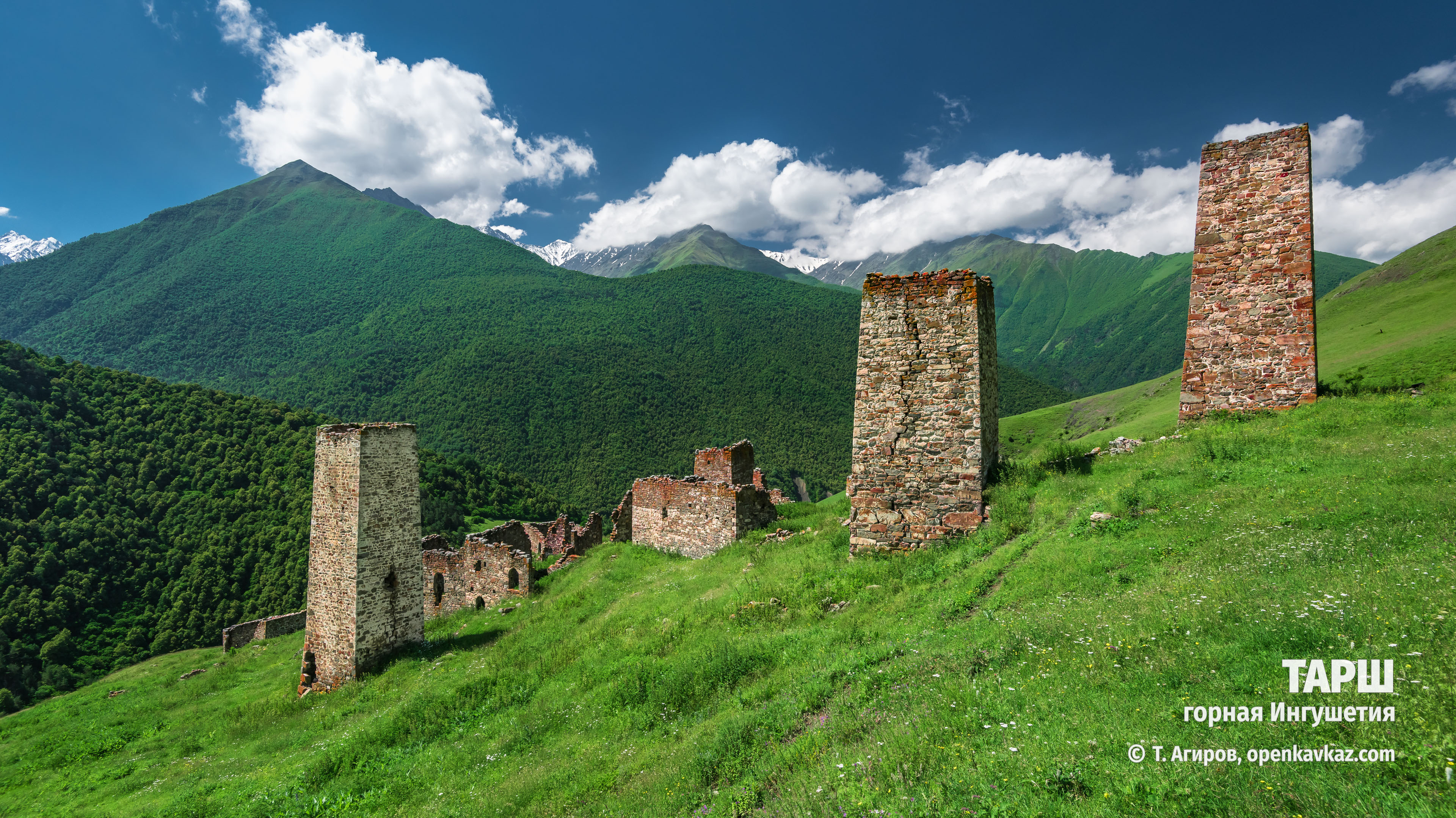 Тарш, Ингушетия