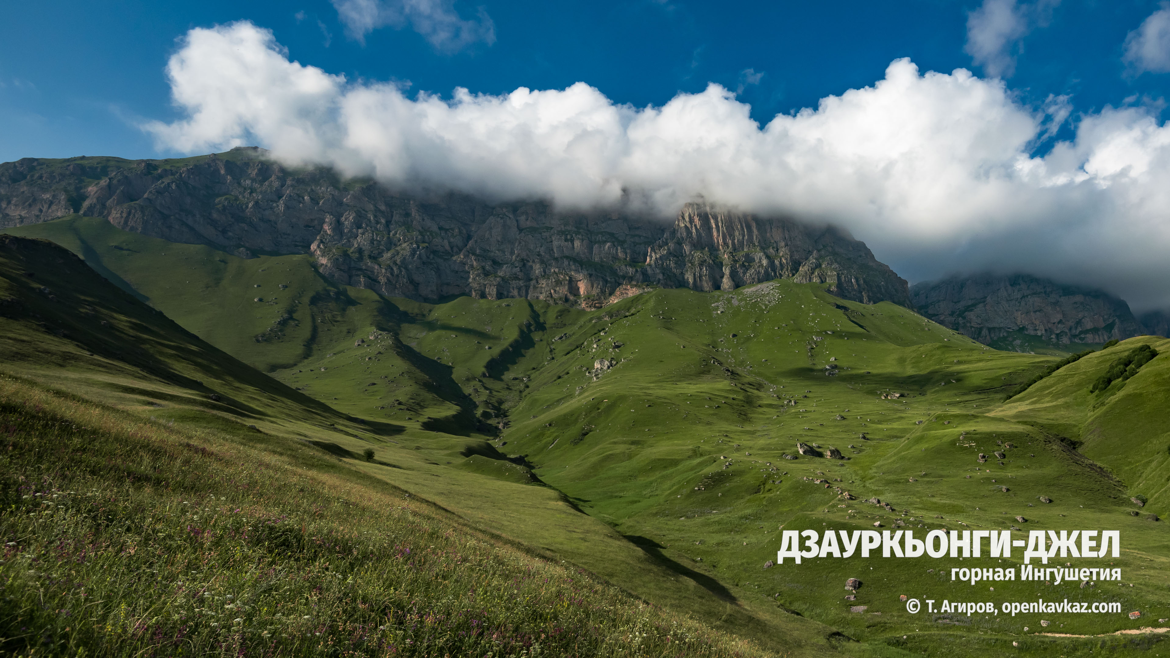 Дзауркьонги-Джел, Ингушетия