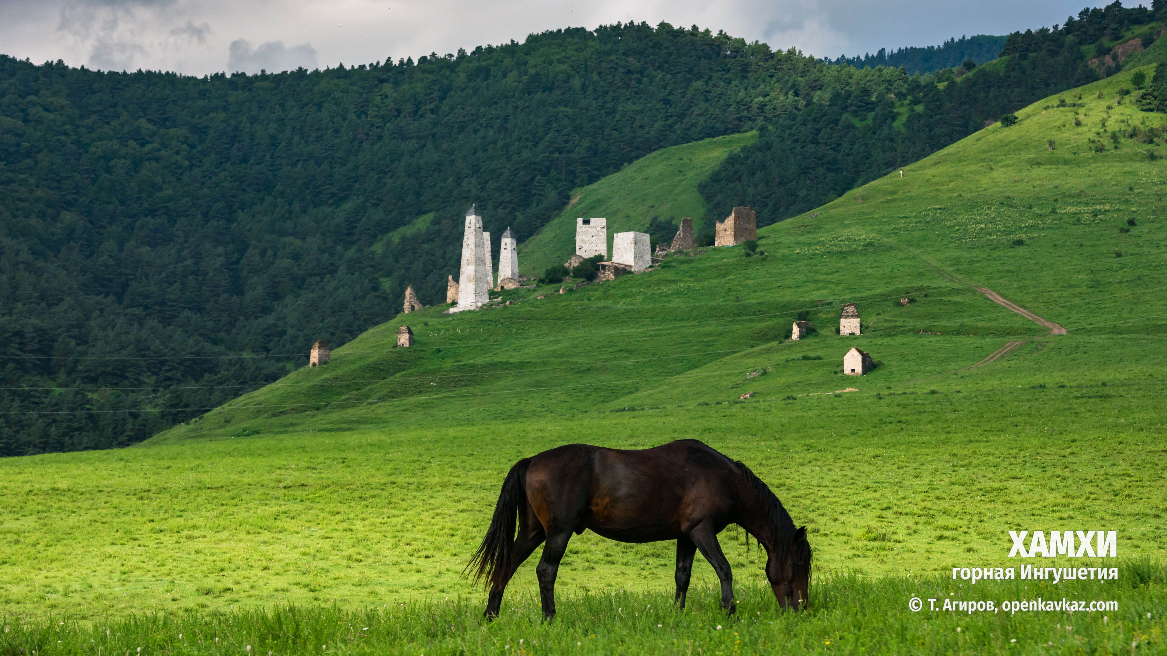 Хамхи, Ингушетия