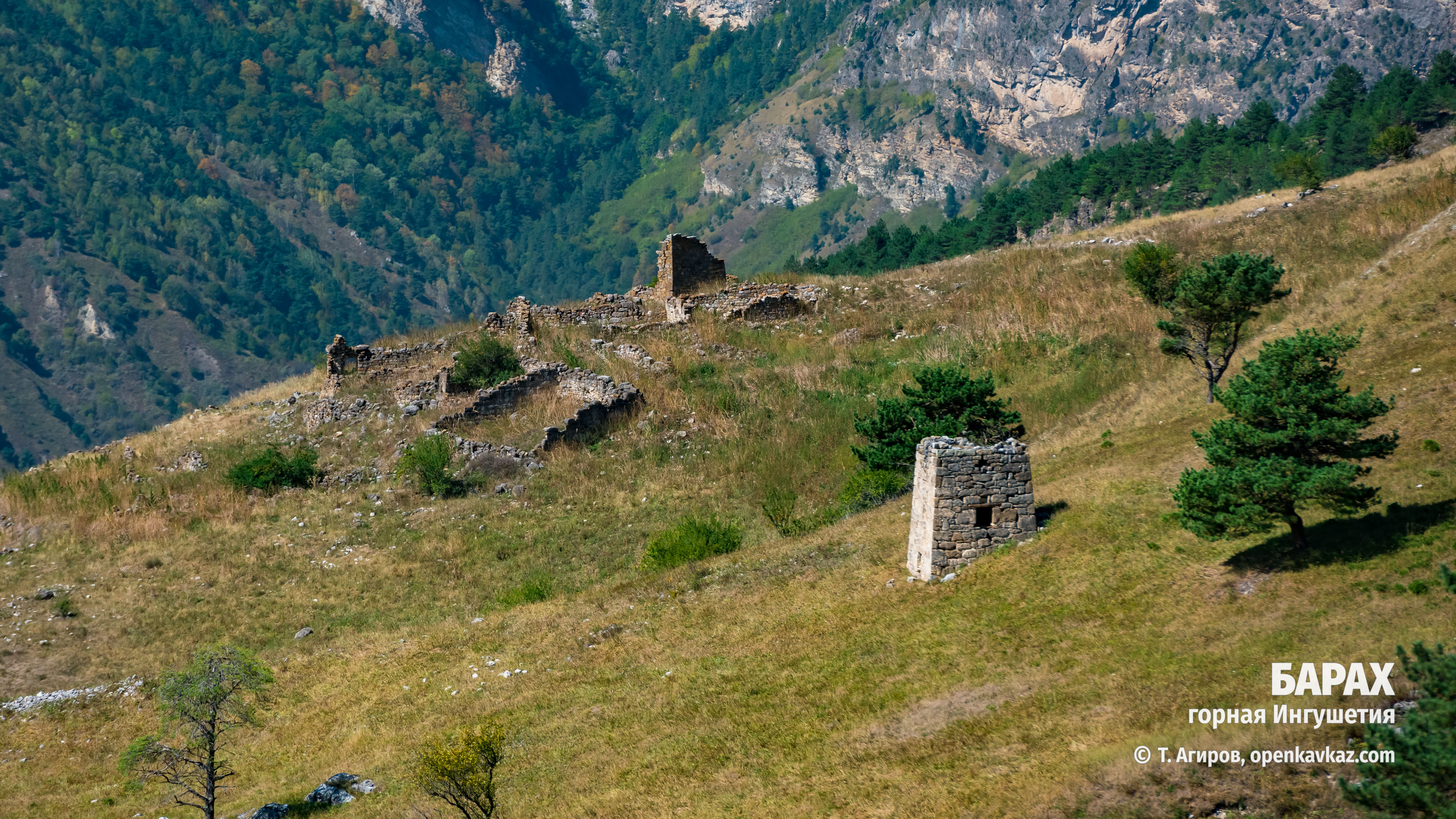 Барах, Ингушетия