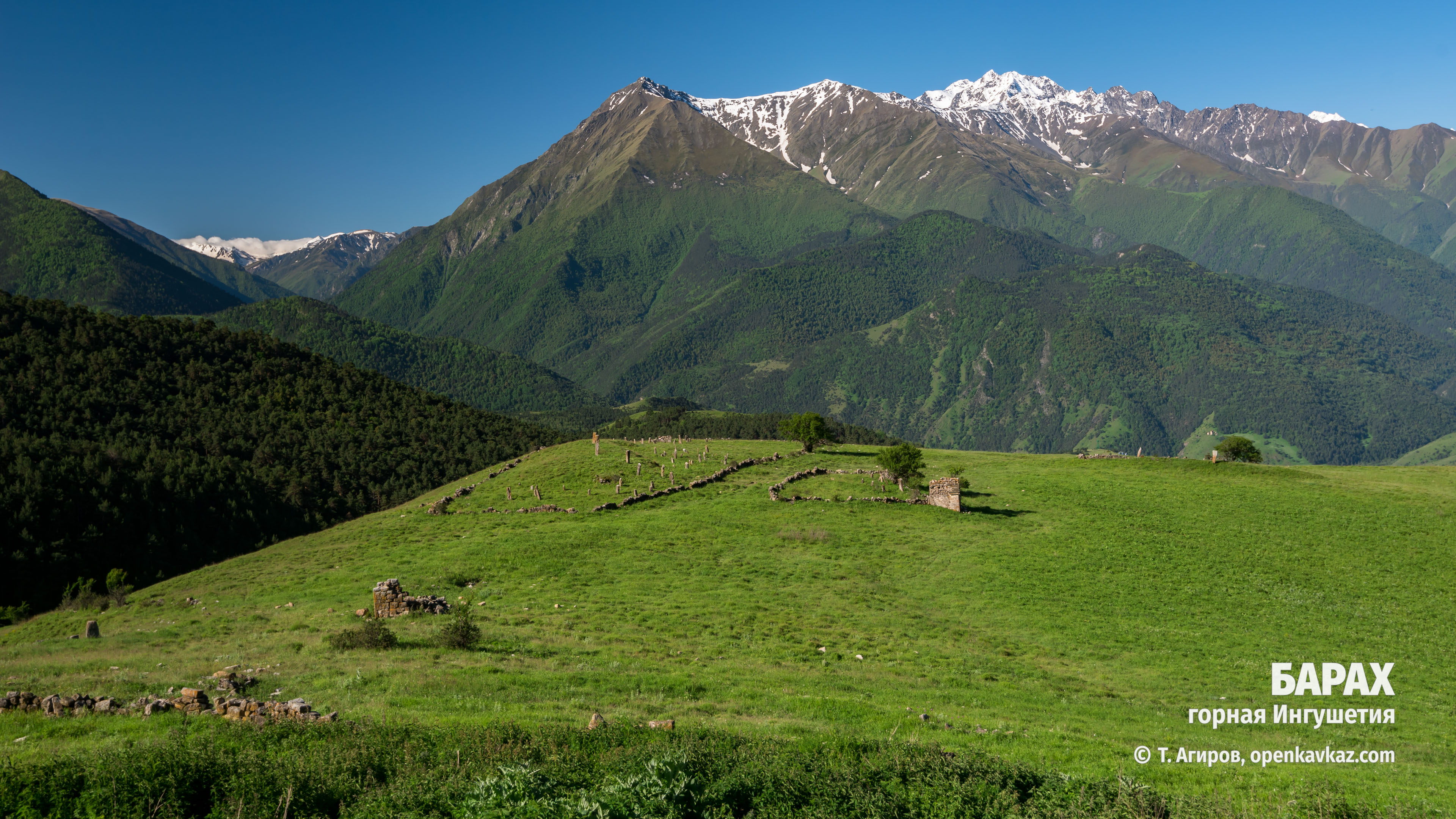 Барах, Ингушетия