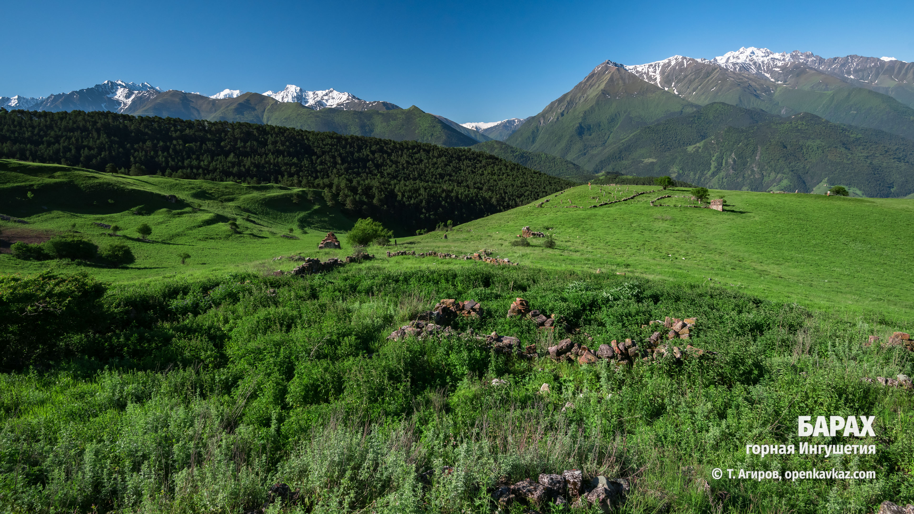 Барах, Ингушетия