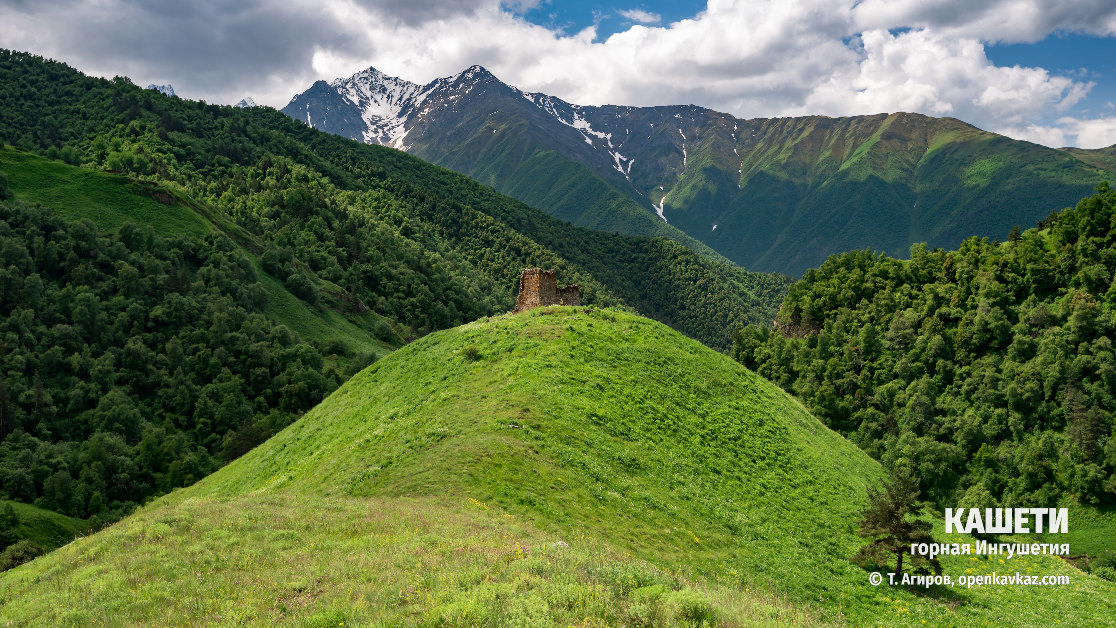 Кашети, Ингушетия